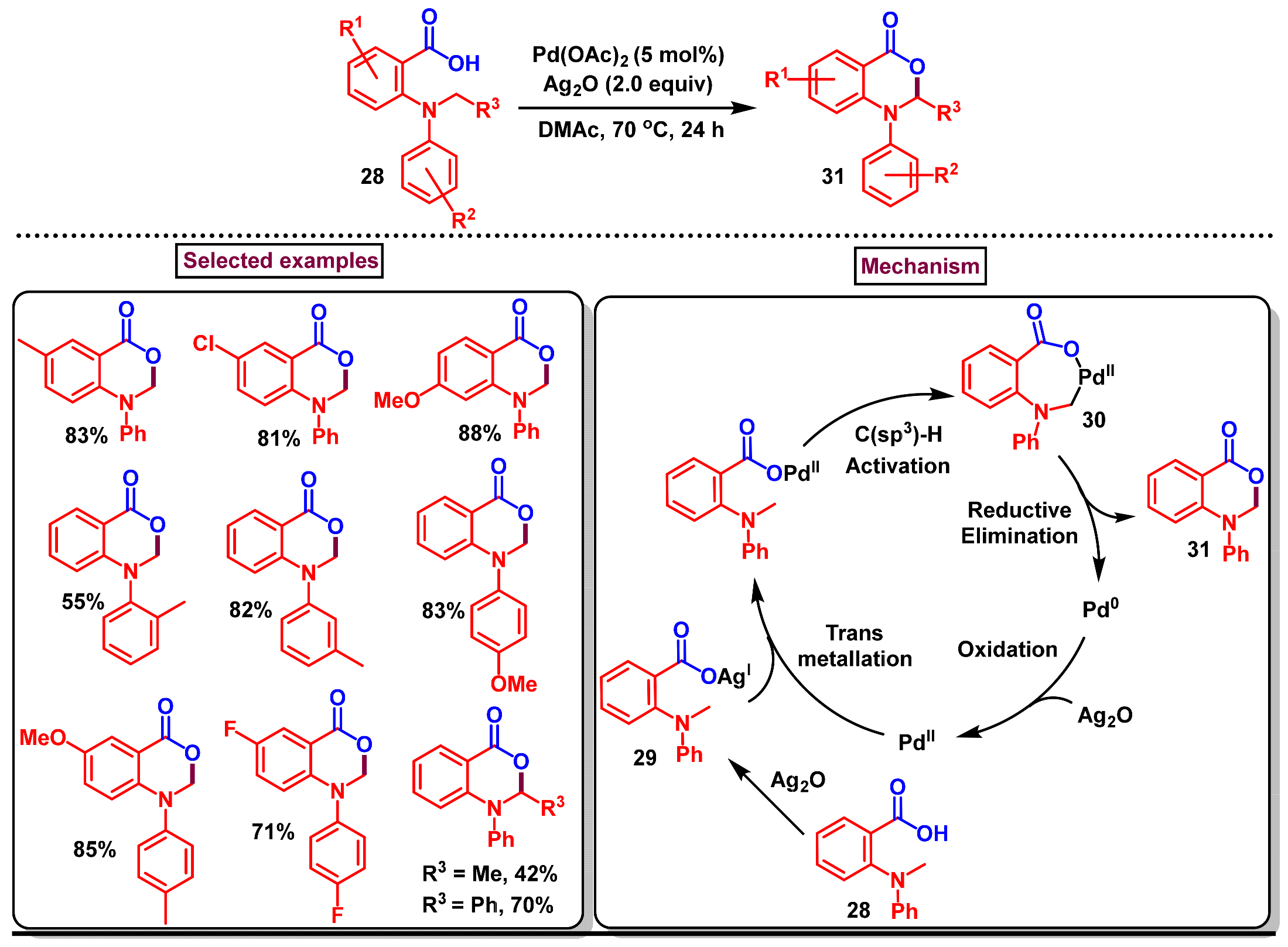 Molecules 29 05710 sch010