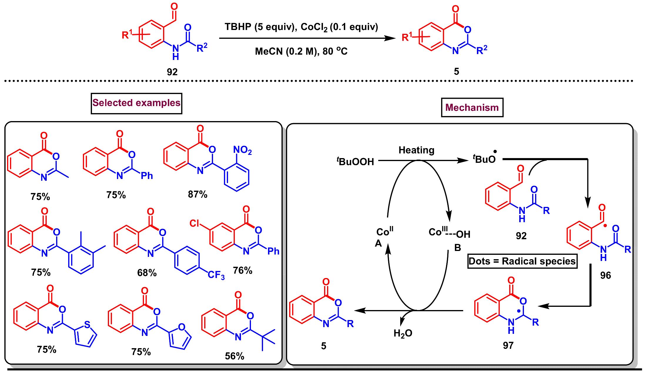 Molecules 29 05710 sch028
