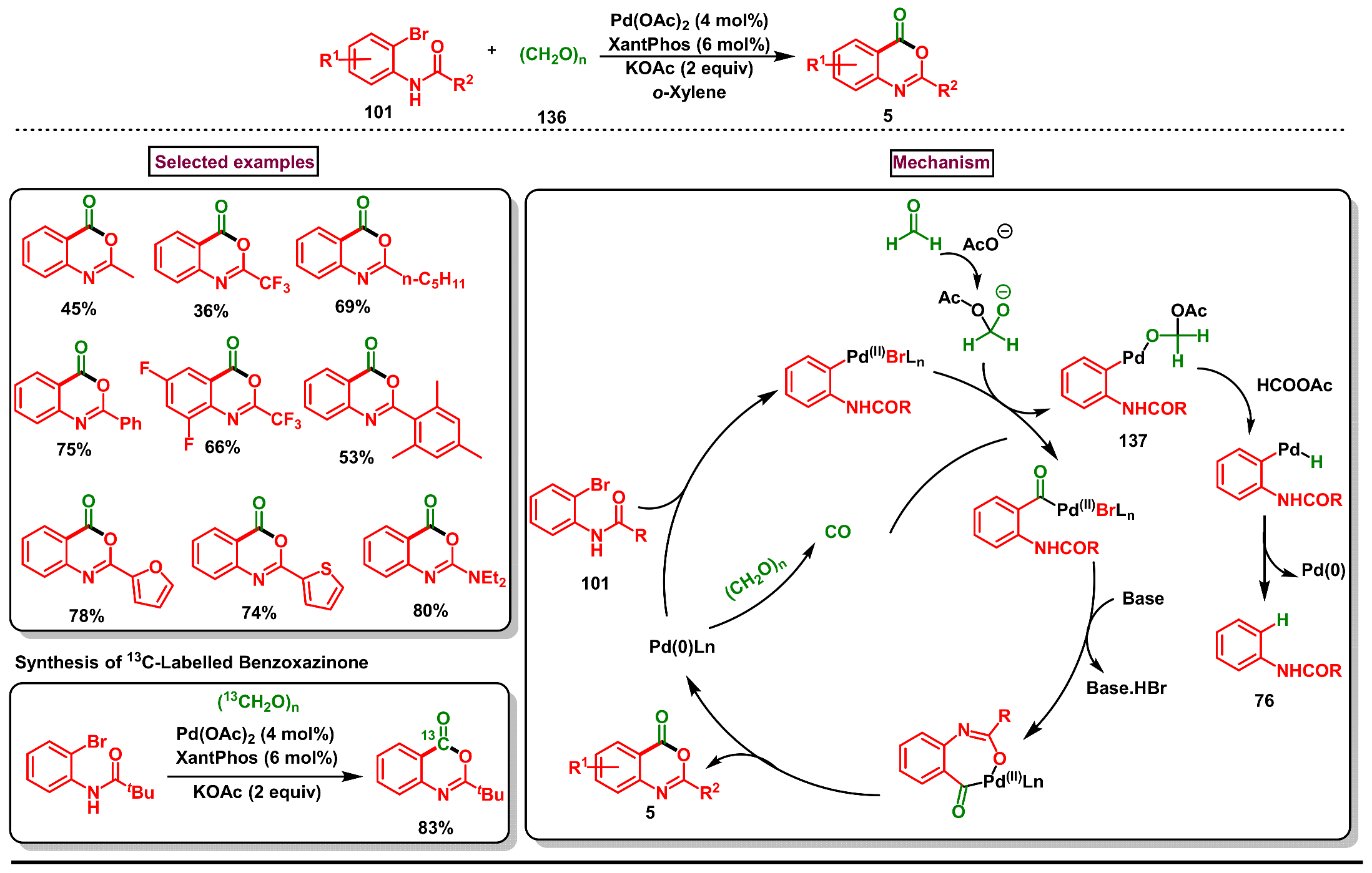 Molecules 29 05710 sch041