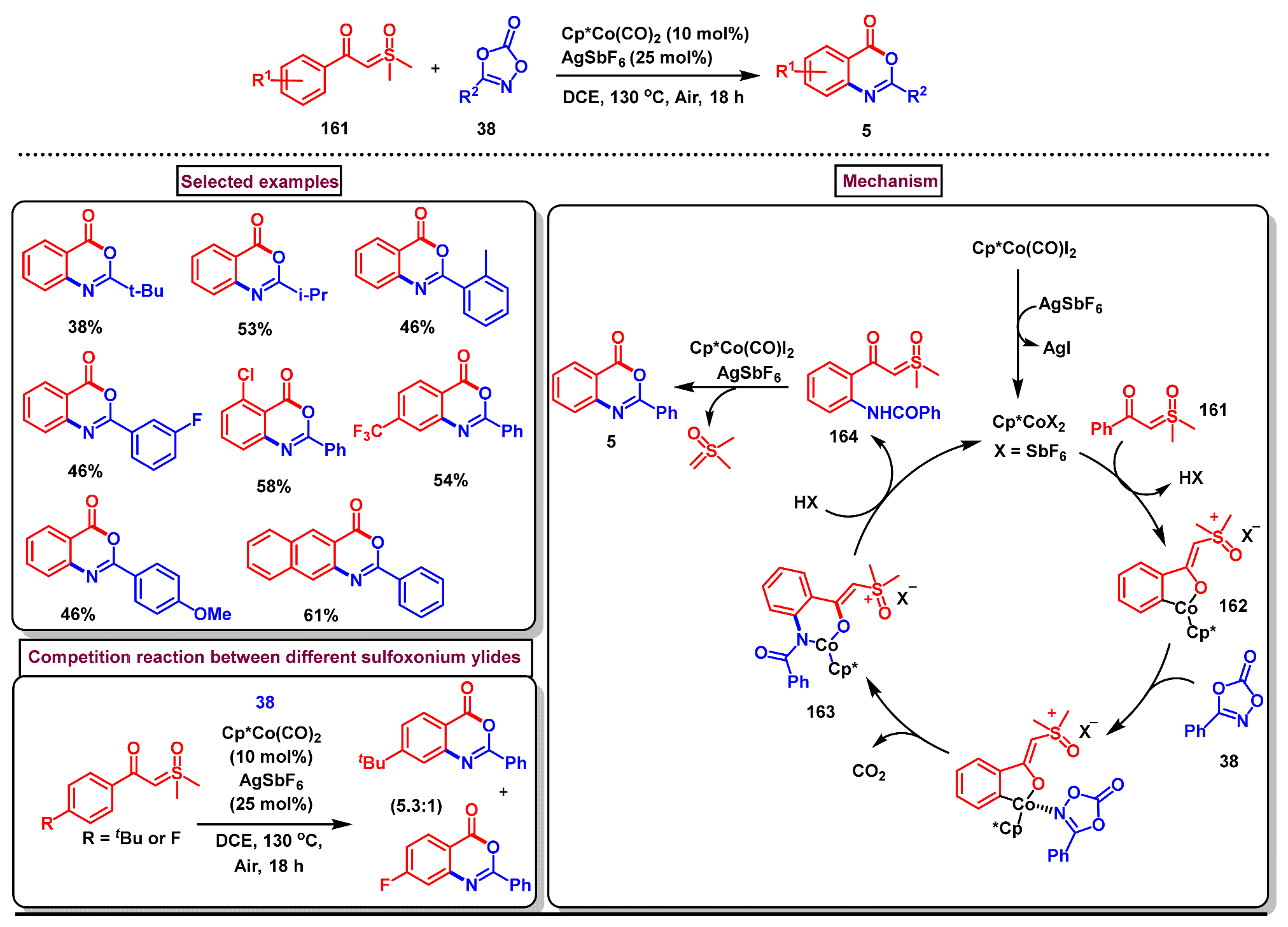 Molecules 29 05710 sch050