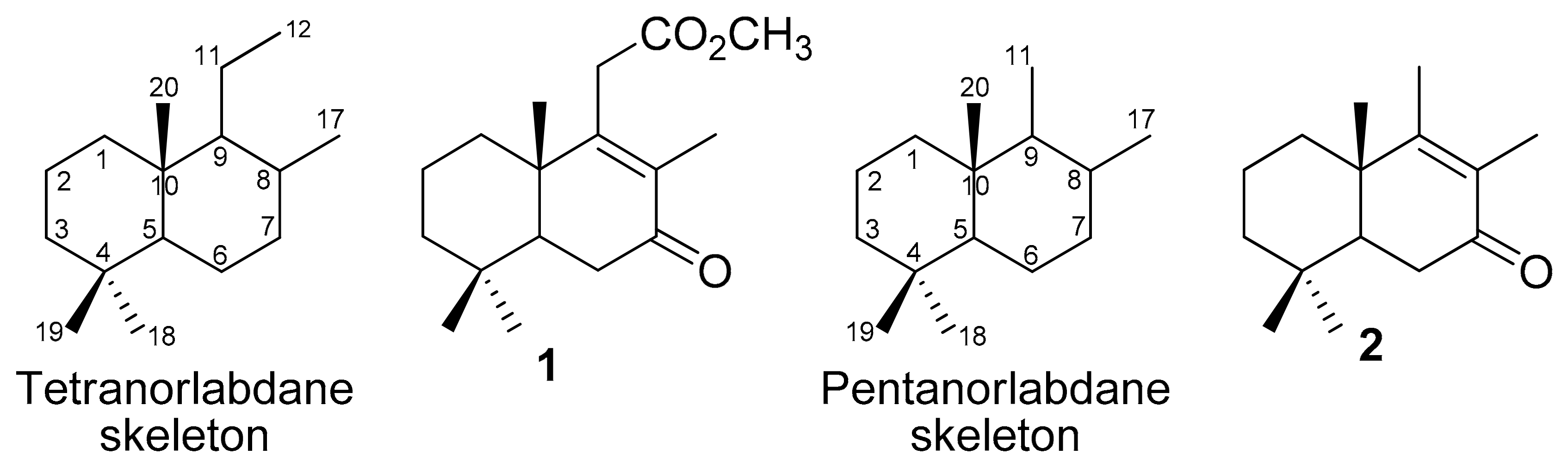 Molecules 29 05714 g001 Molecules 29 05714 g001