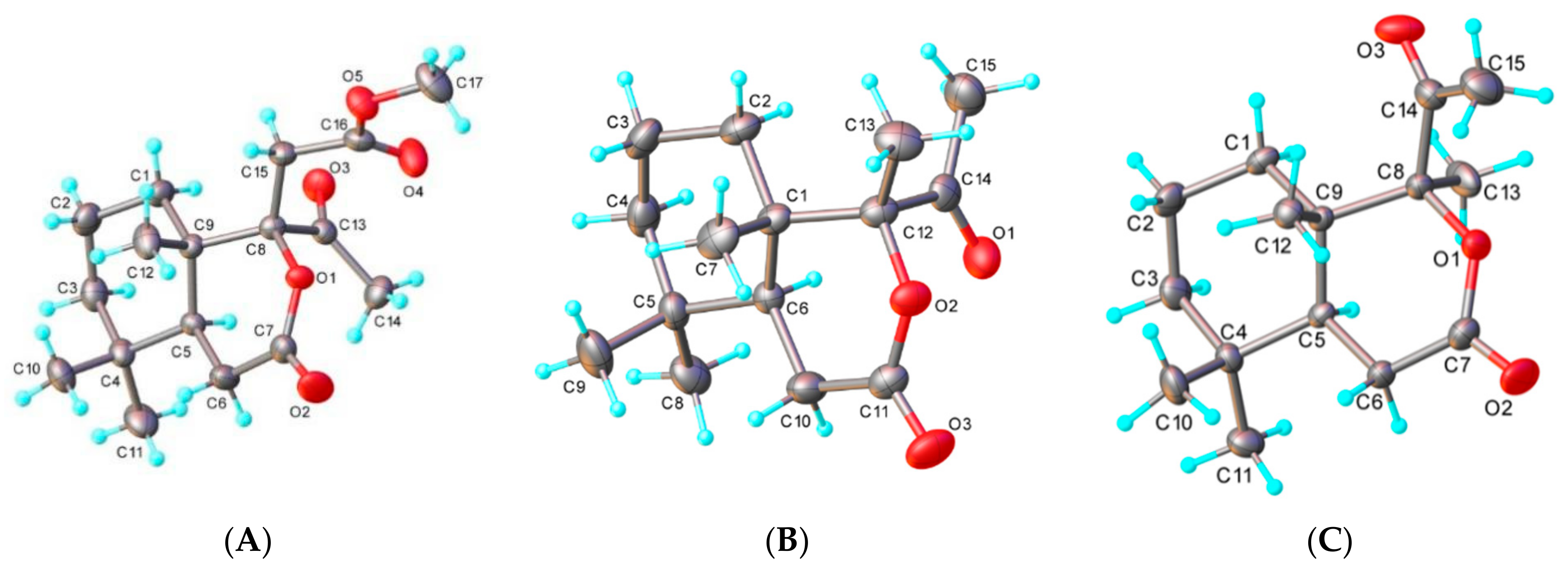 Molecules 29 05714 g002 Molecules 29 05714 g002