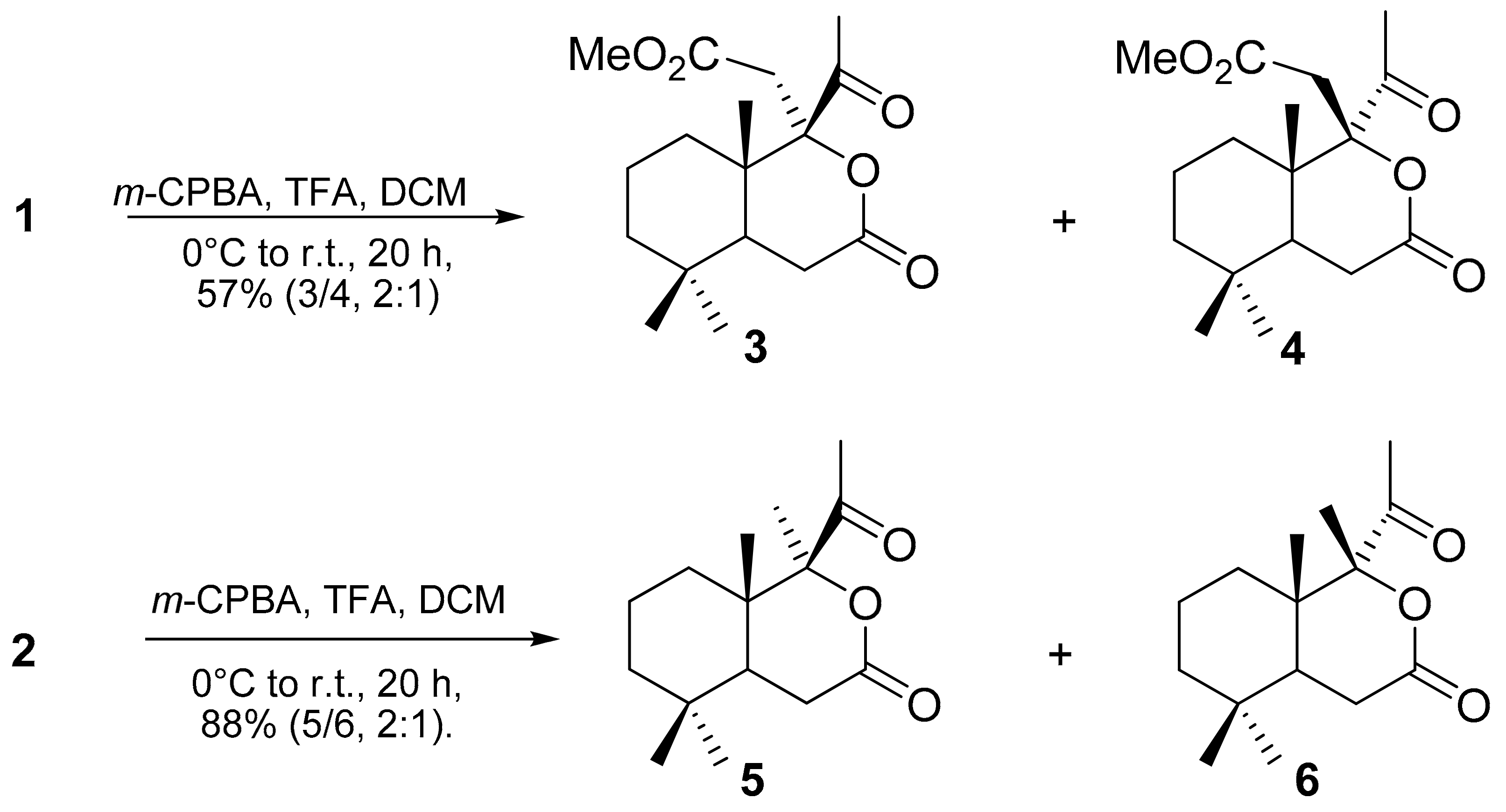 Molecules 29 05714 sch001 Molecules 29 05714 sch001