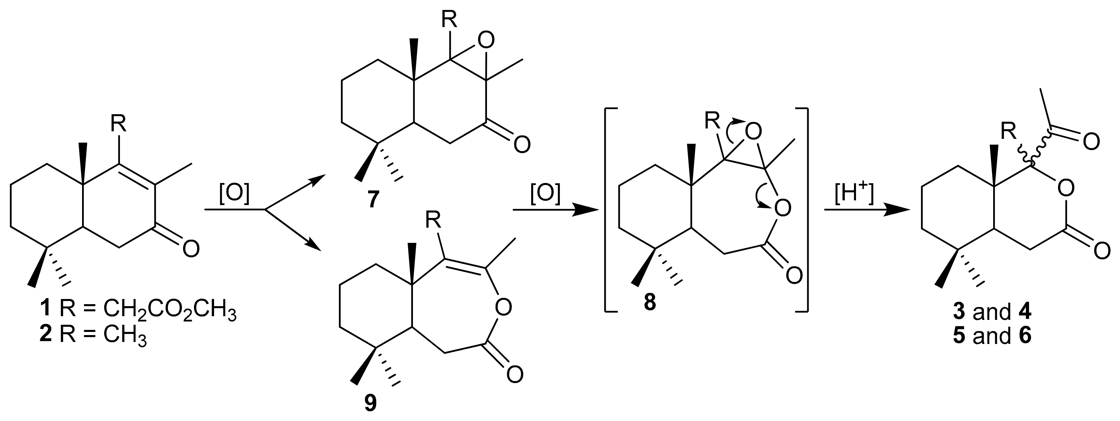 Molecules 29 05714 sch002 Molecules 29 05714 sch002
