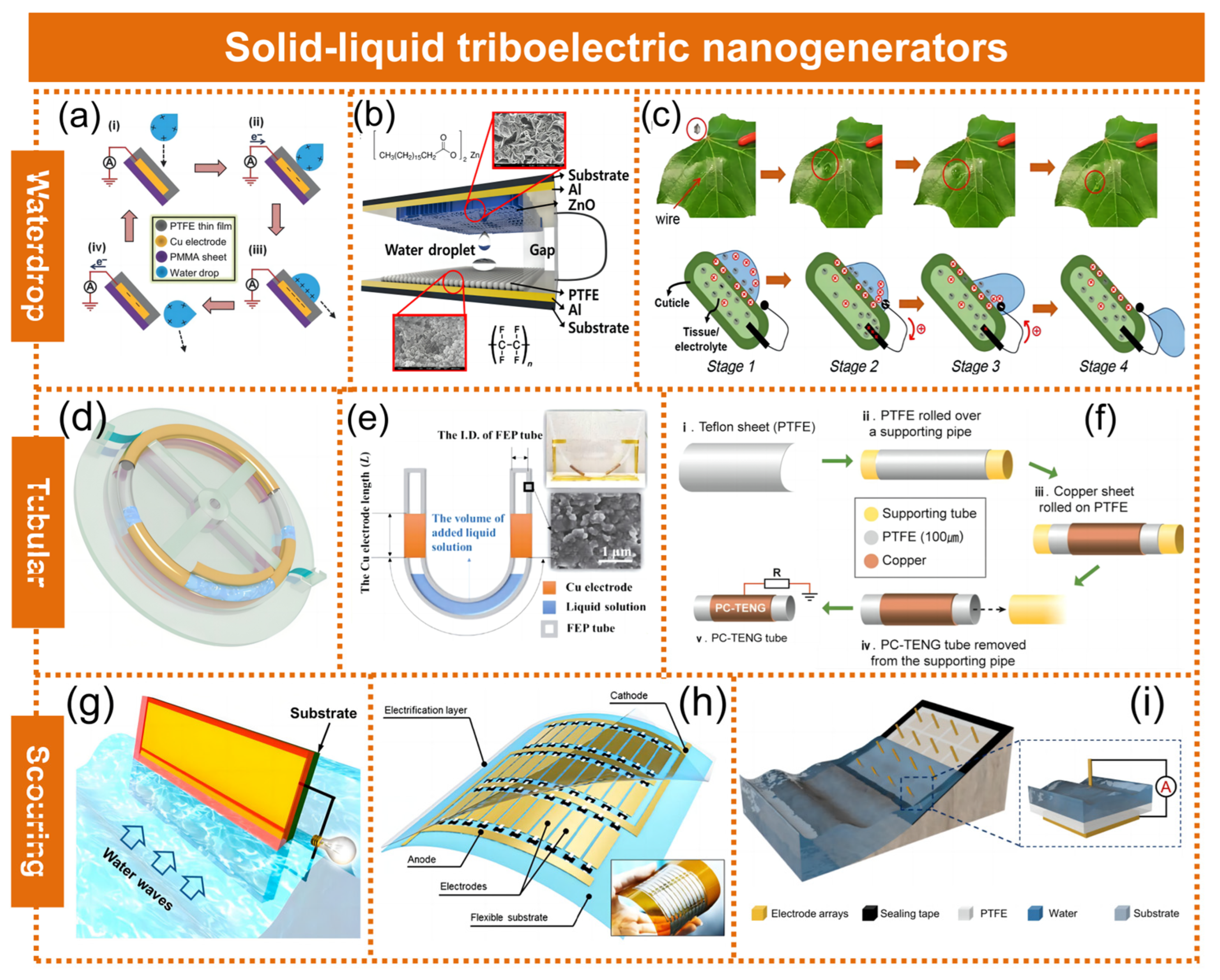 Molecules 29 05716 g003