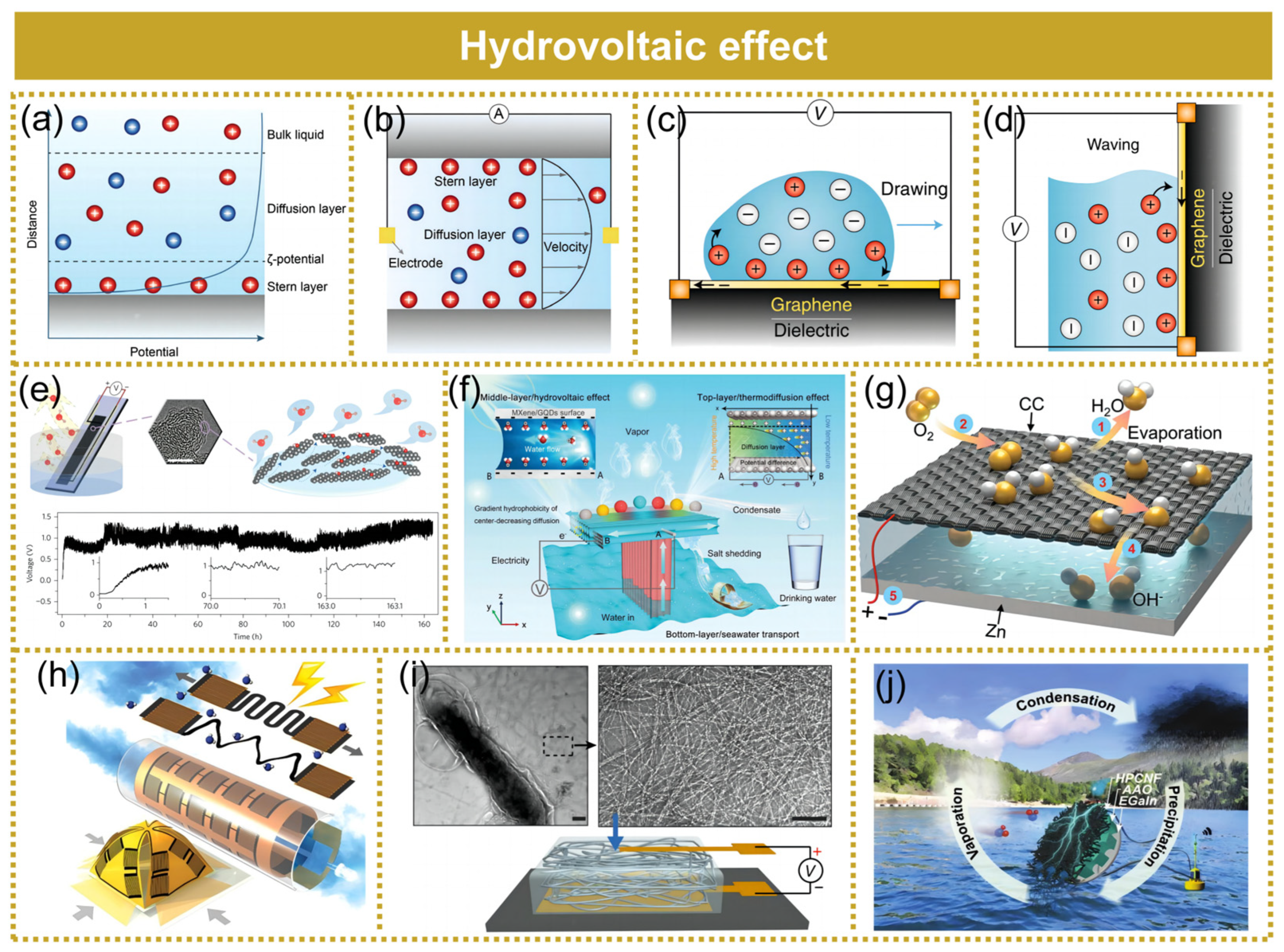 Molecules 29 05716 g005