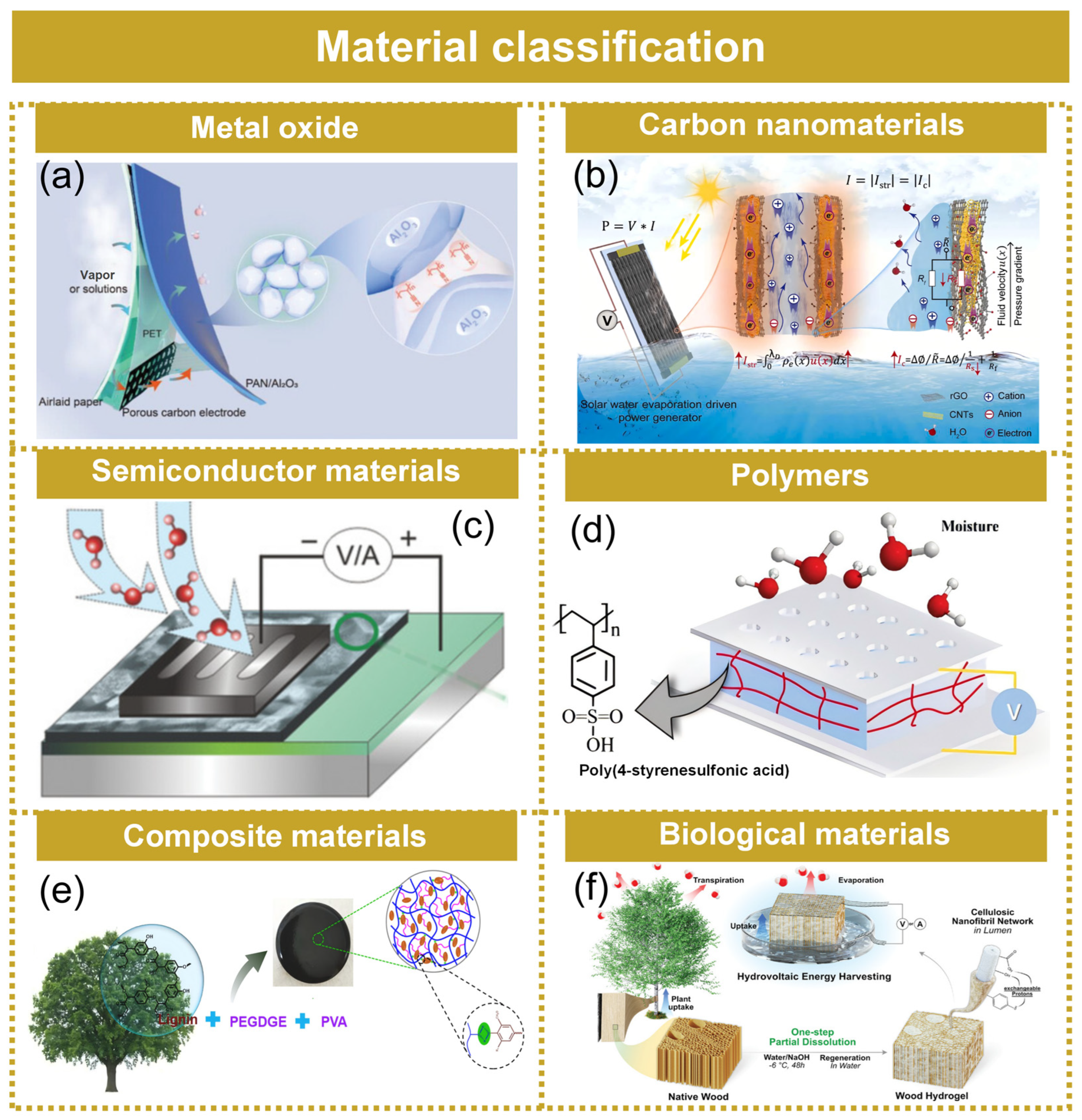 Molecules 29 05716 g006