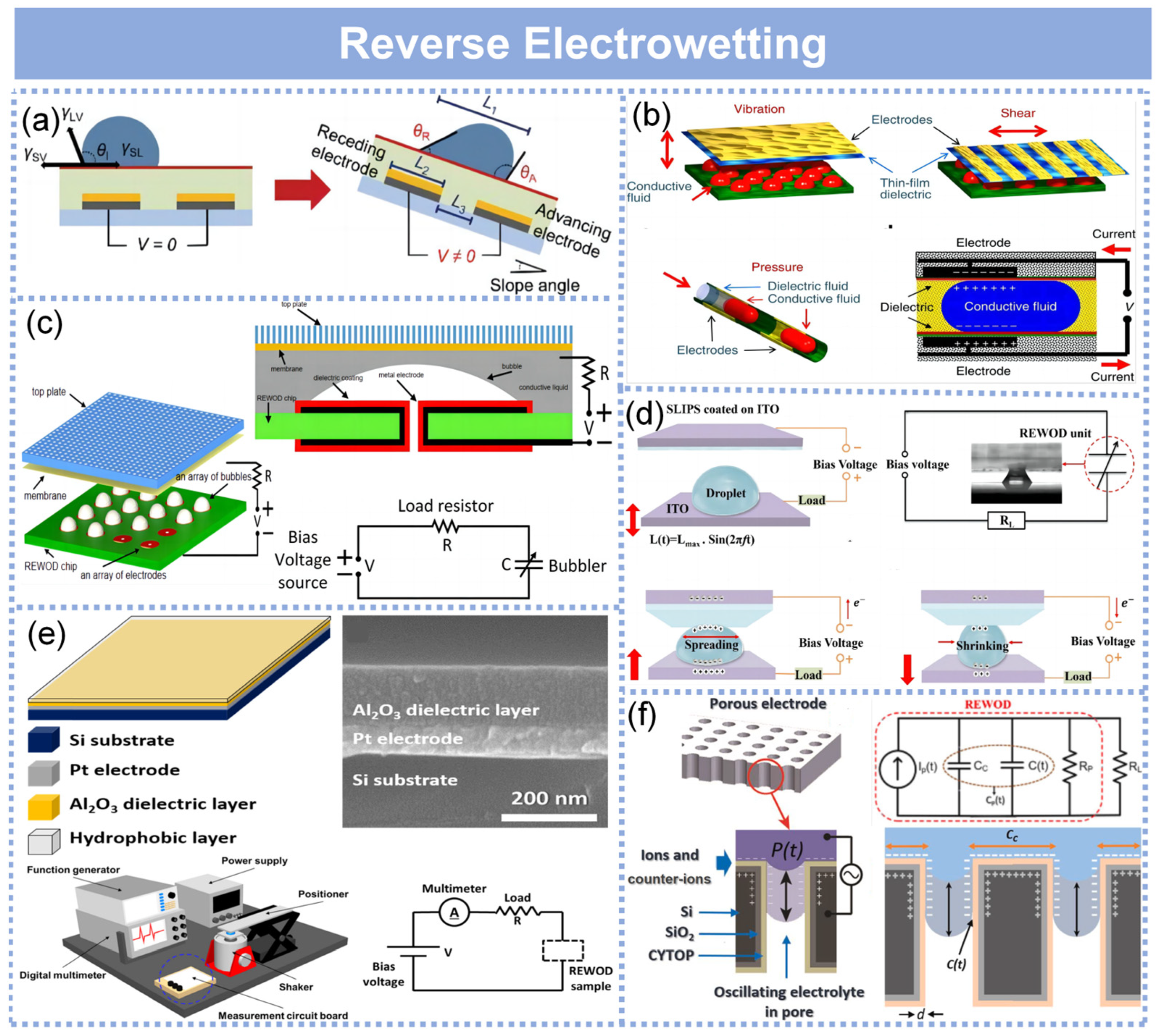 Molecules 29 05716 g007
