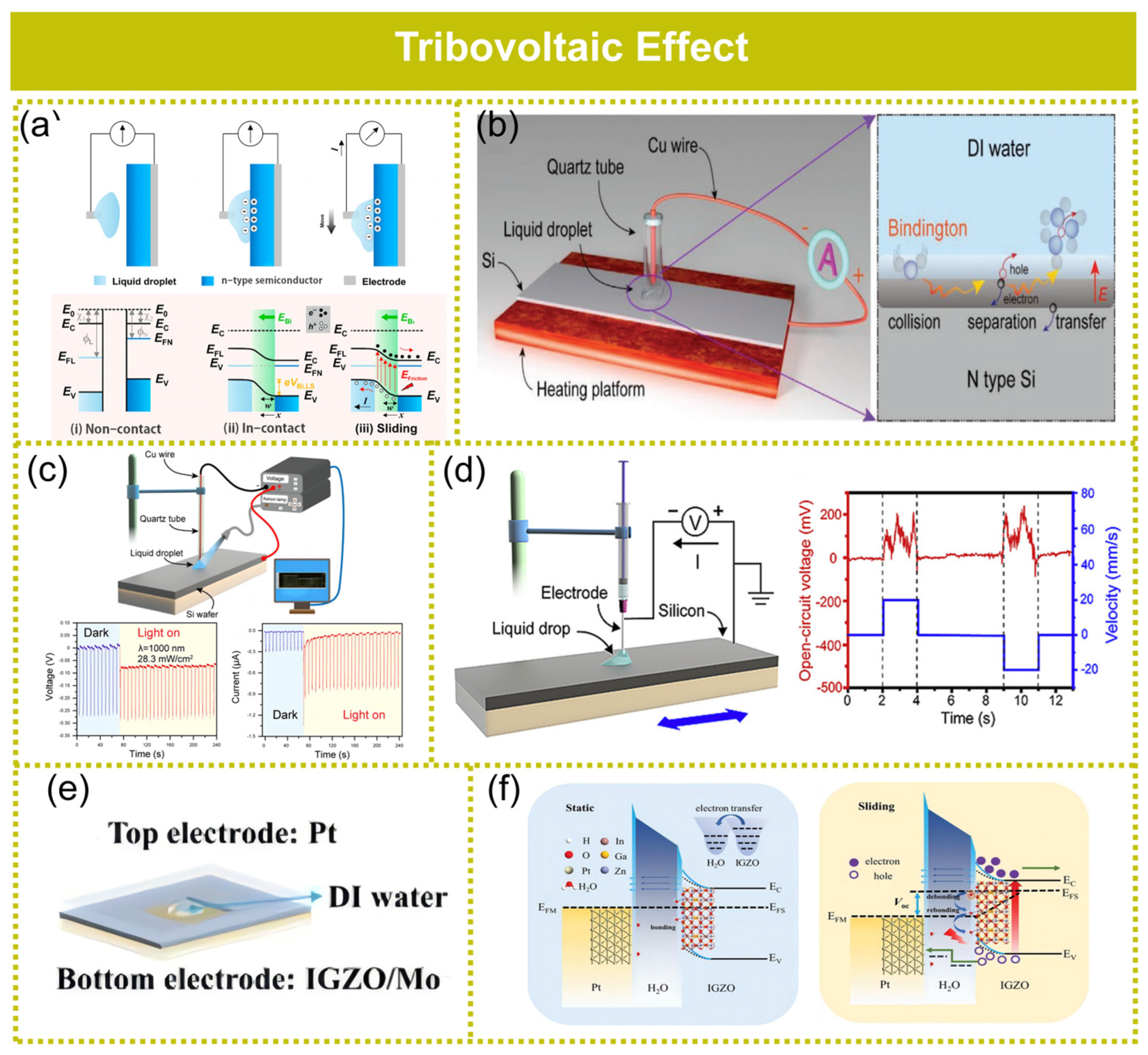 Molecules 29 05716 g008