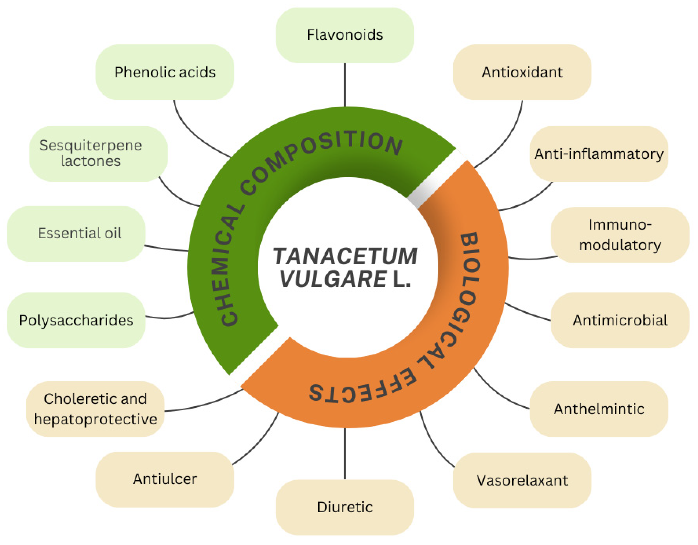 Molecules 29 05723 g001