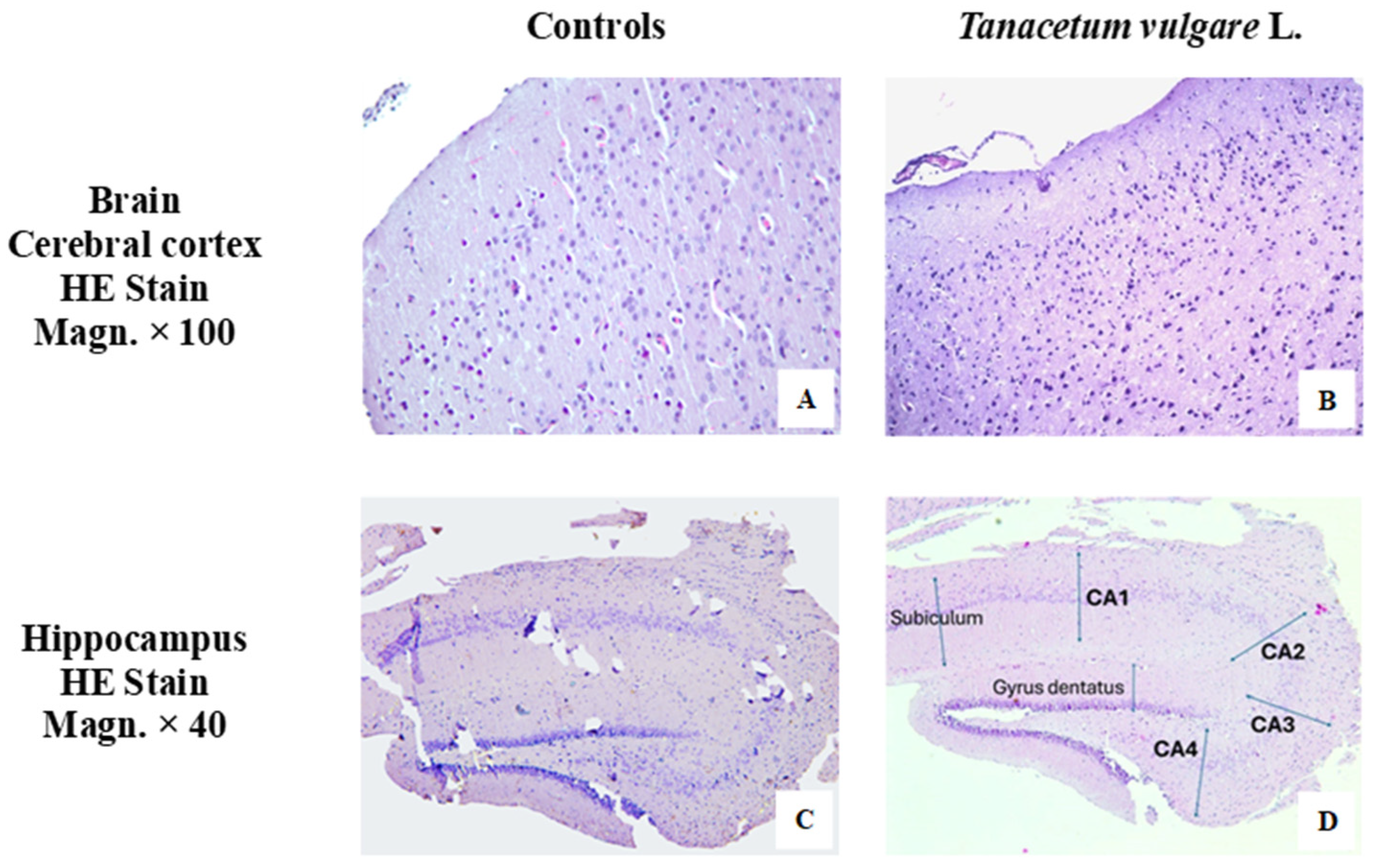 Molecules 29 05723 g010