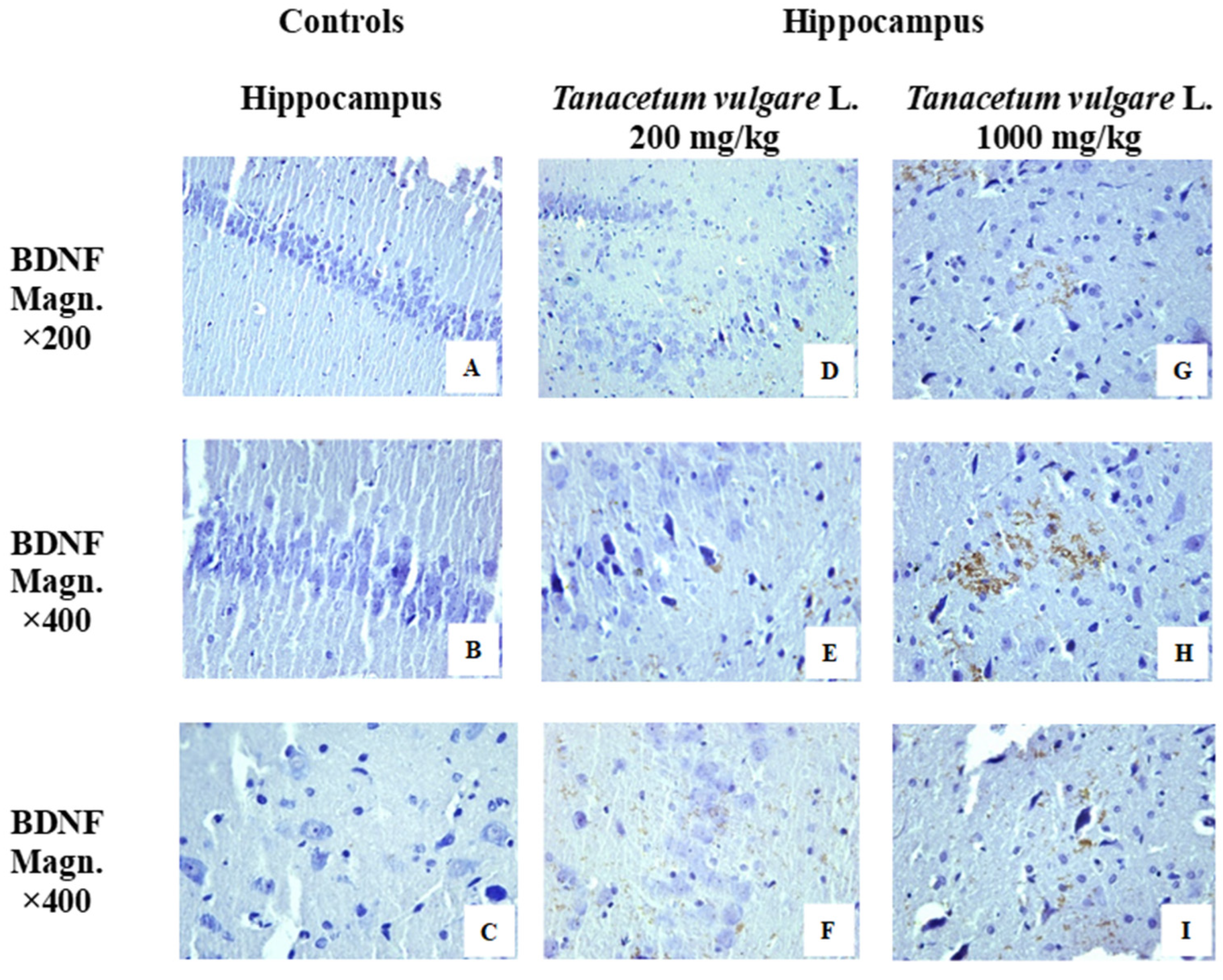 Molecules 29 05723 g011