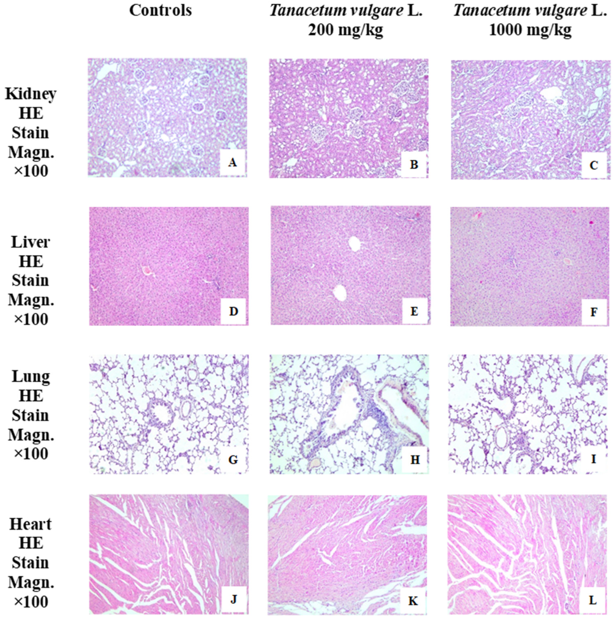Molecules 29 05723 g012