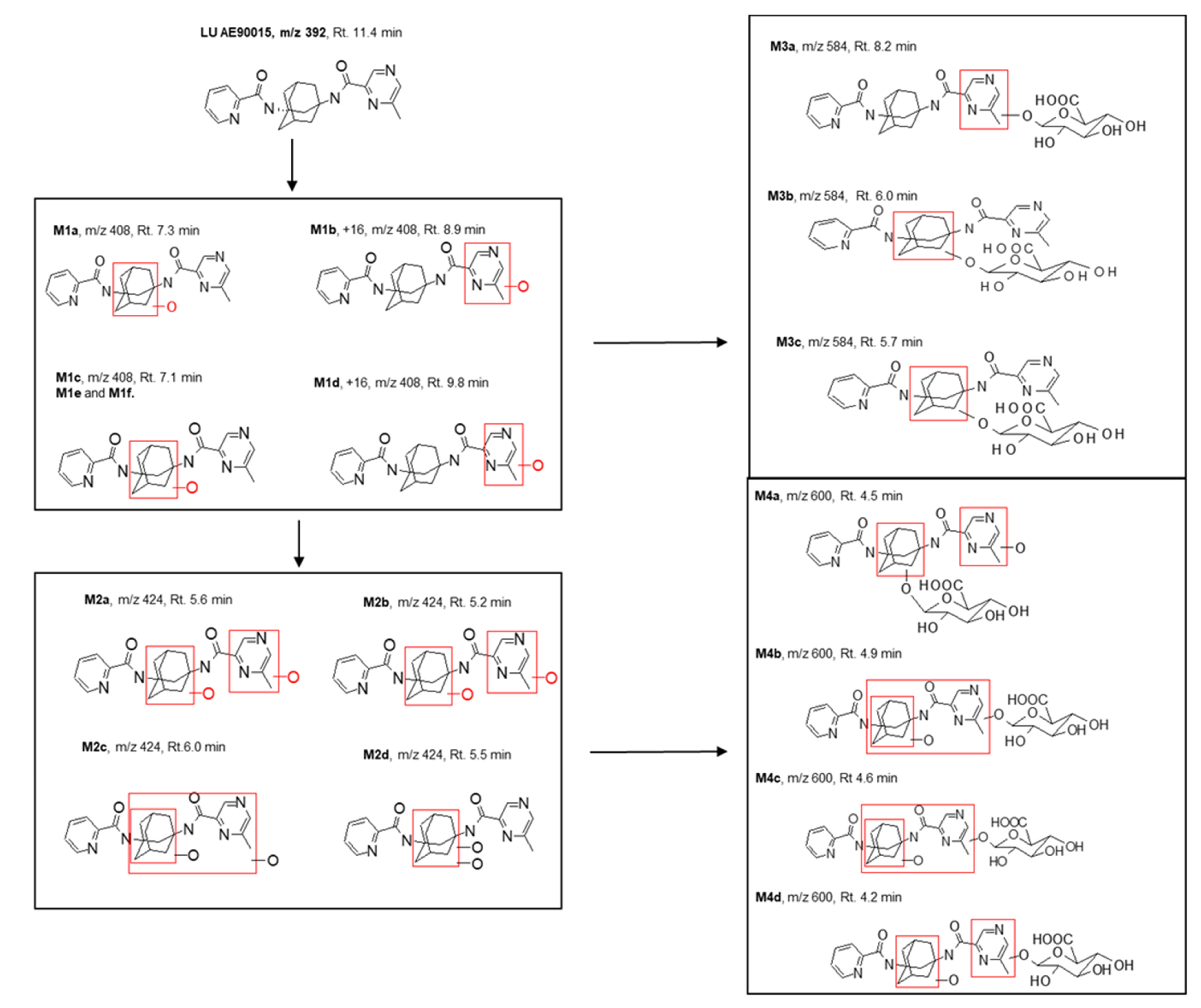 Molecules 29 05724 g004