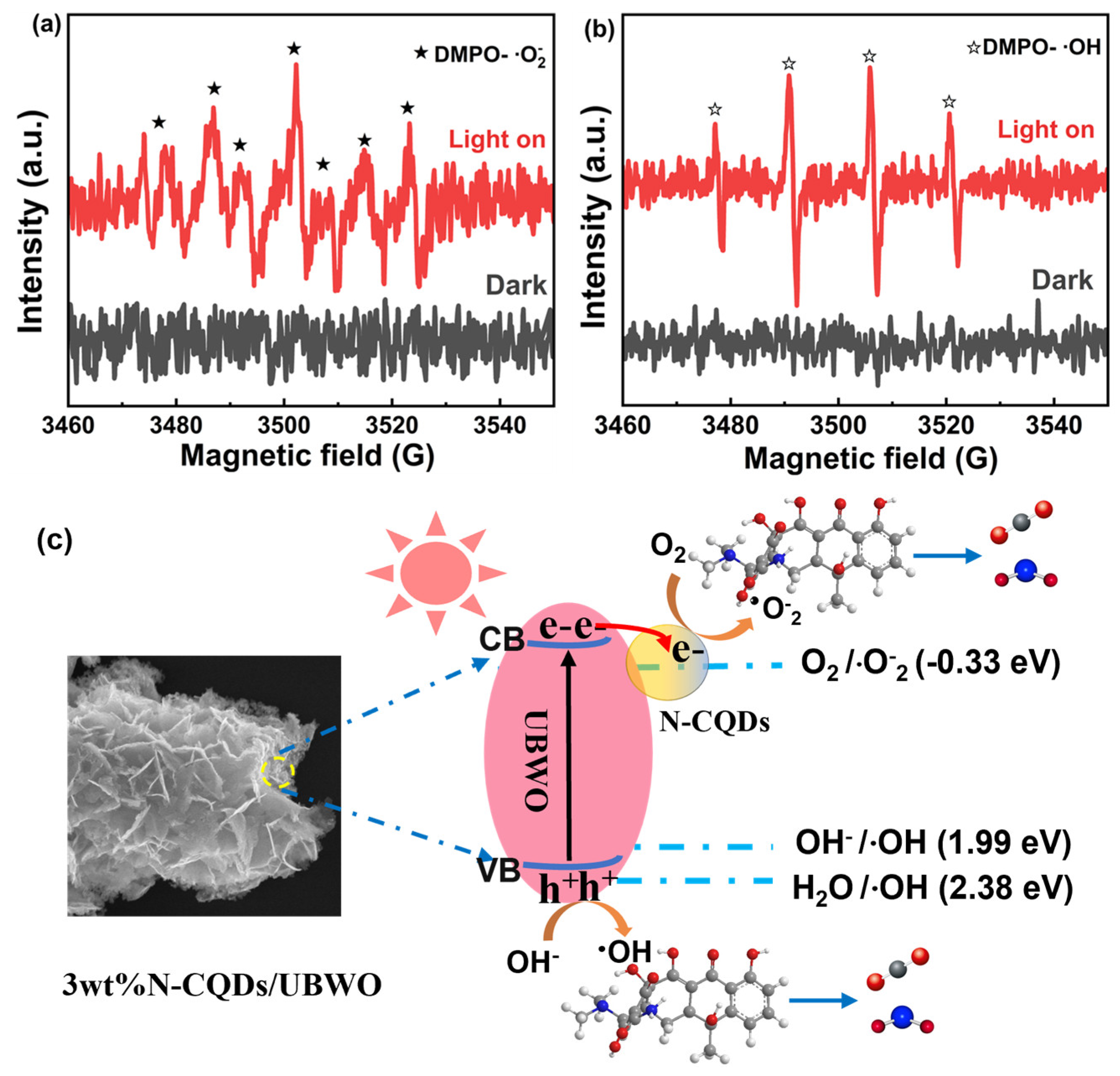 Molecules 29 05725 g007