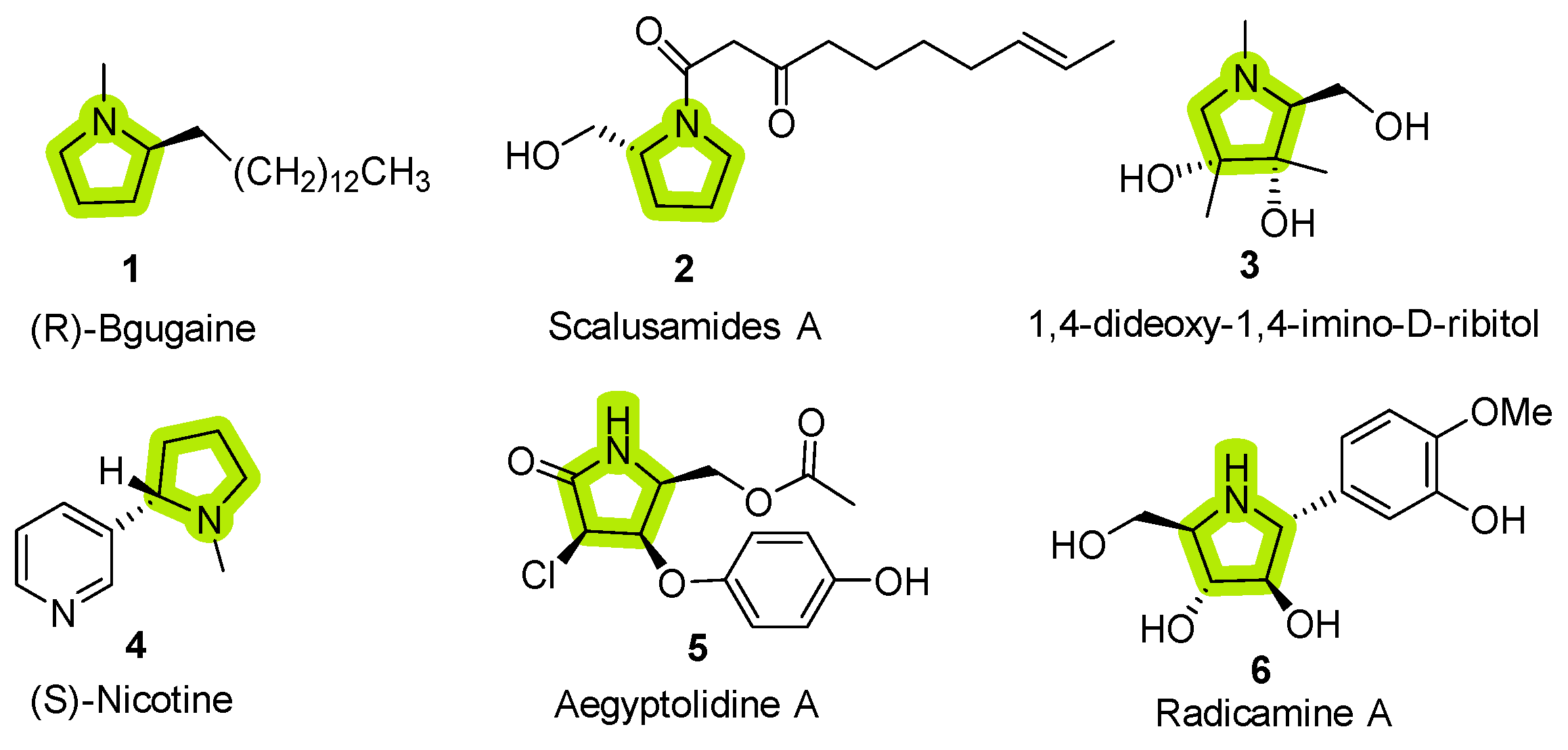 Molecules 29 05726 g001
