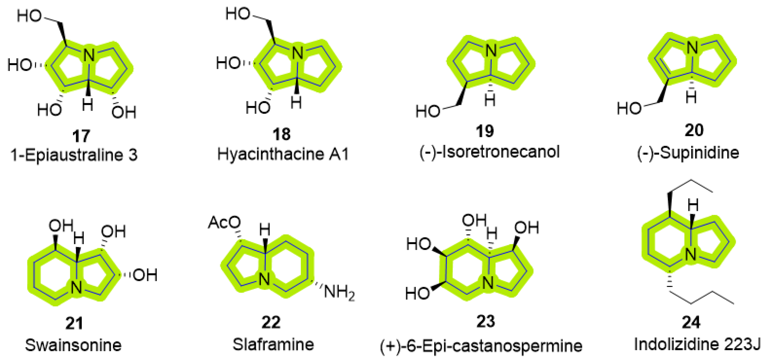 Molecules 29 05726 g003