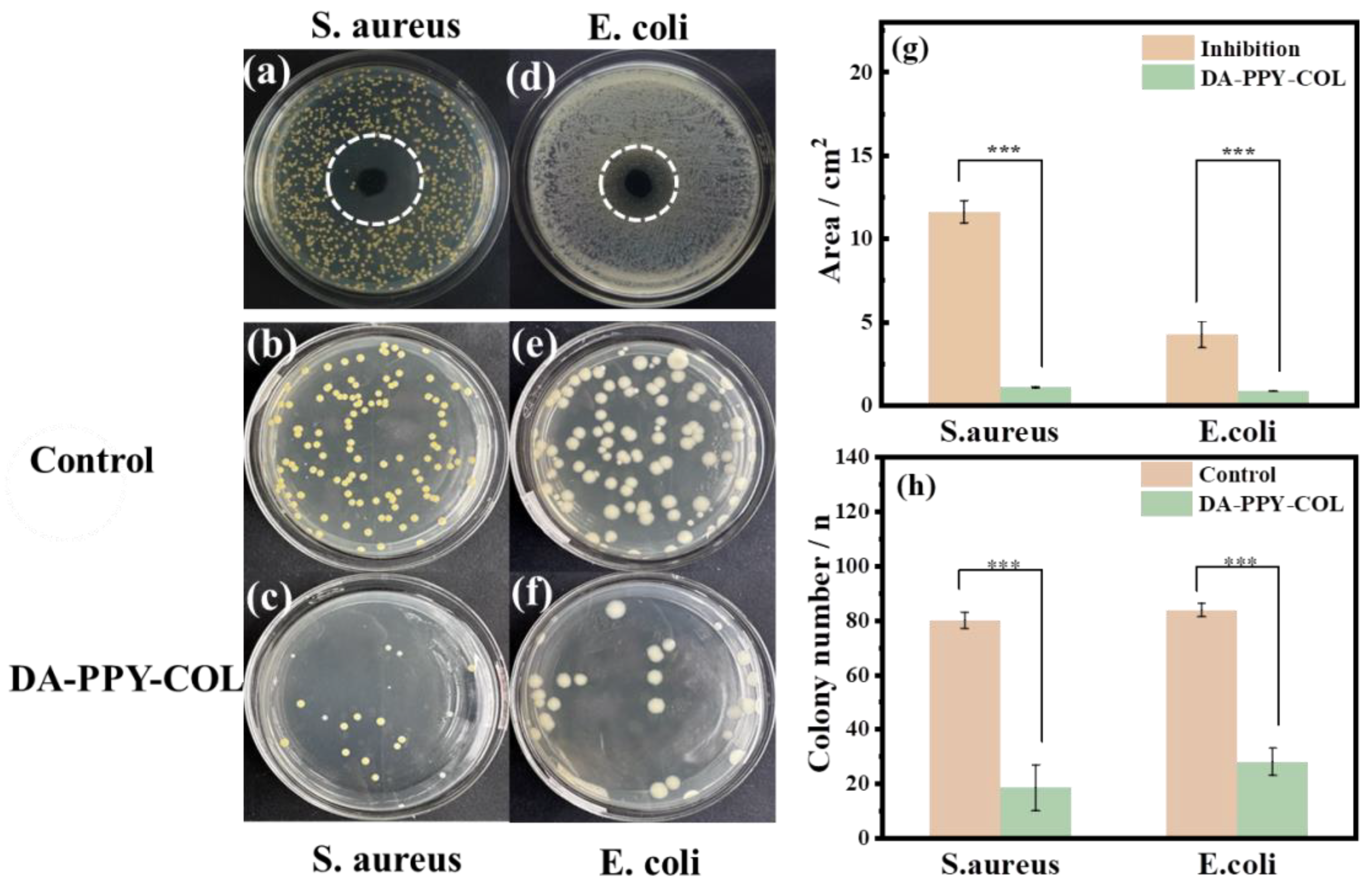 Molecules 29 05728 g004