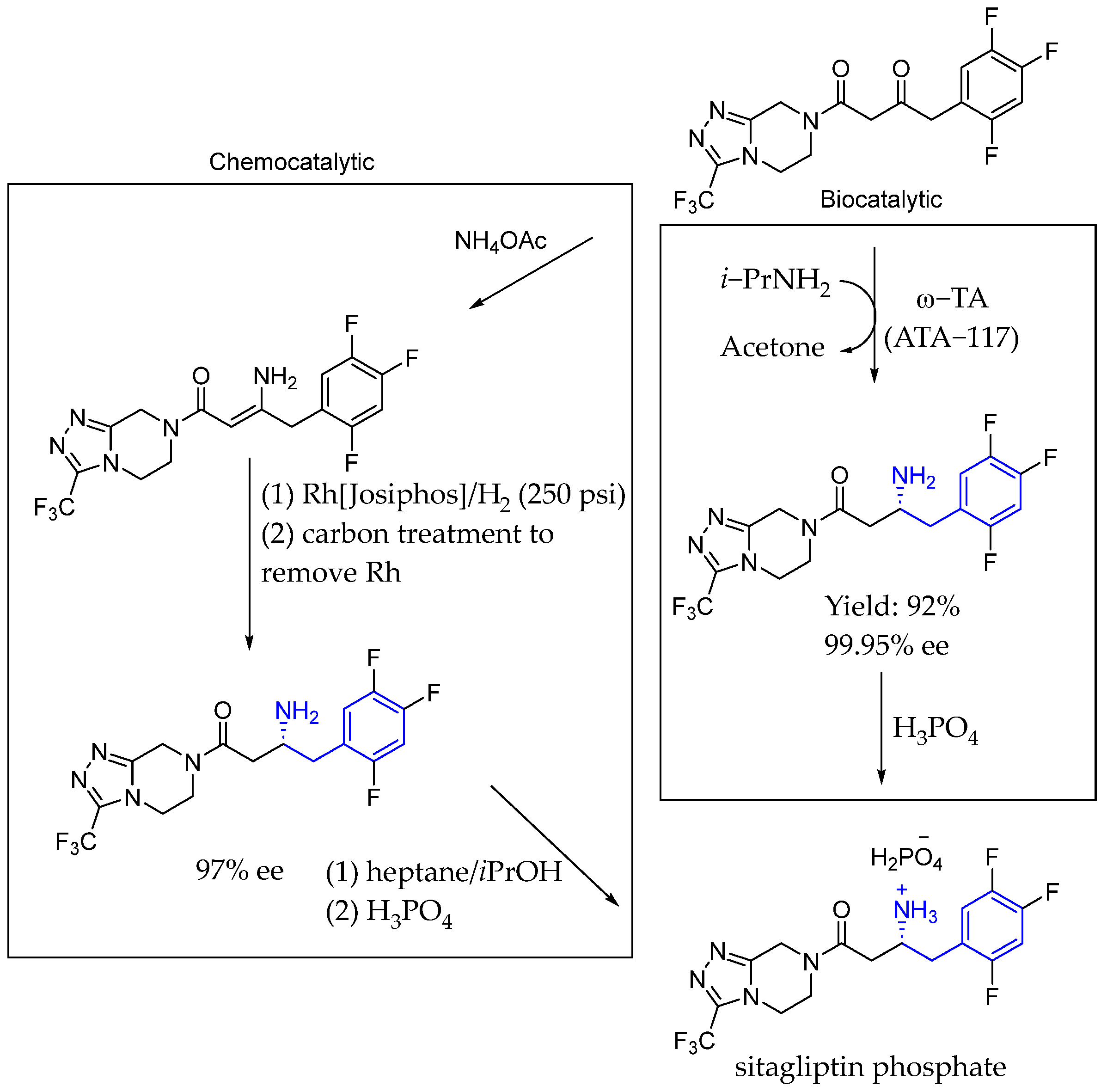 Molecules 29 05729 sch035