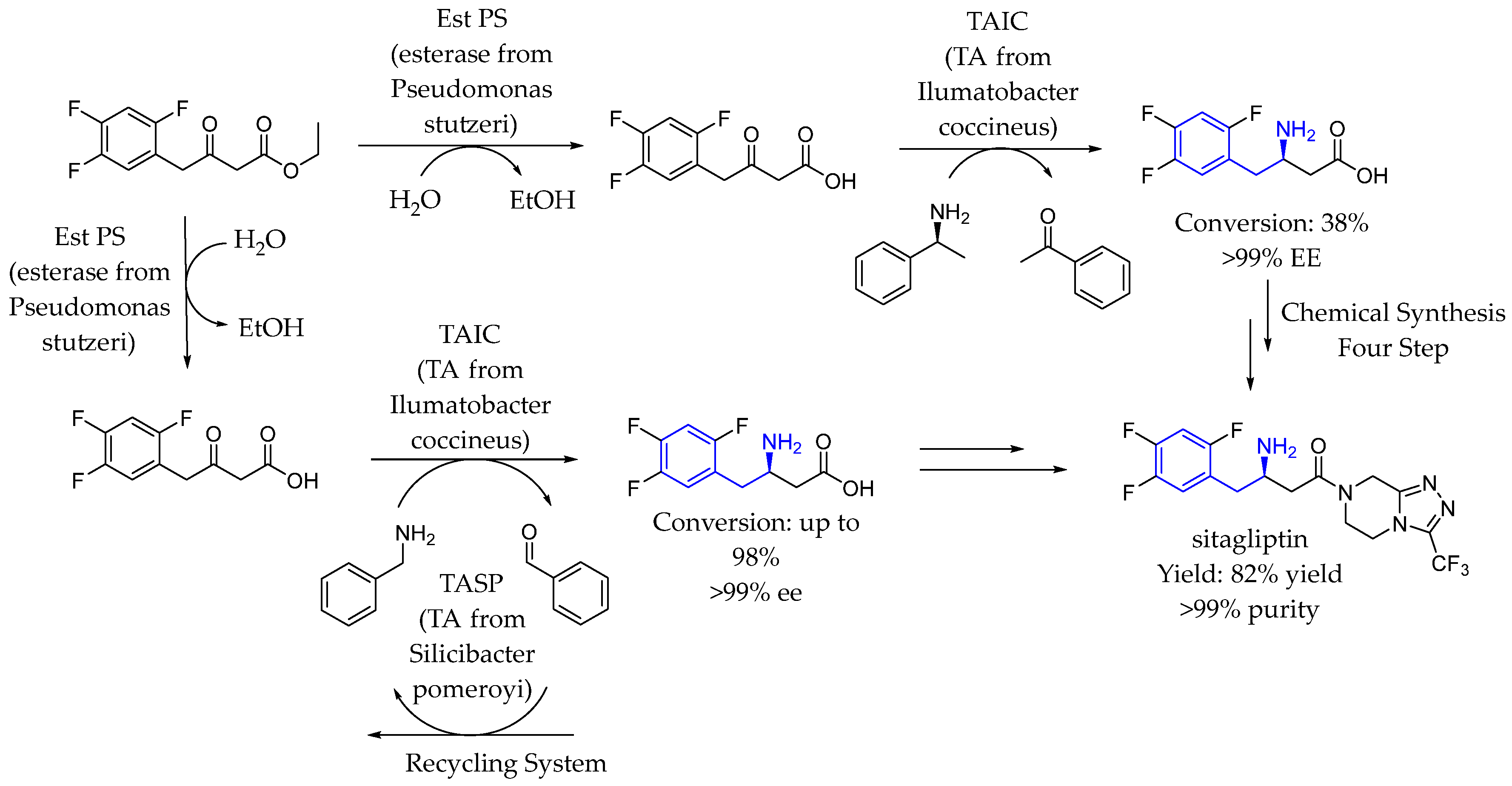 Molecules 29 05729 sch043