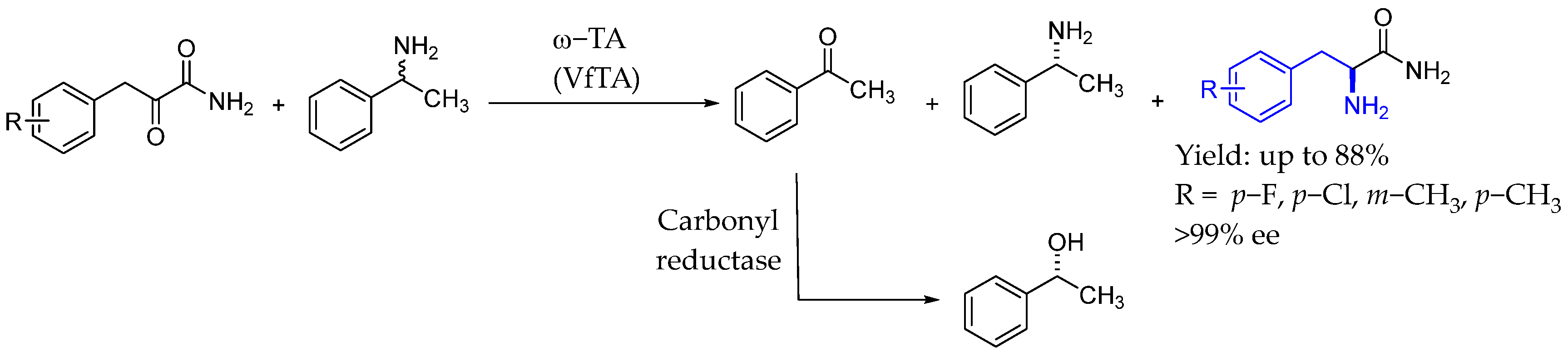 Molecules 29 05729 sch049