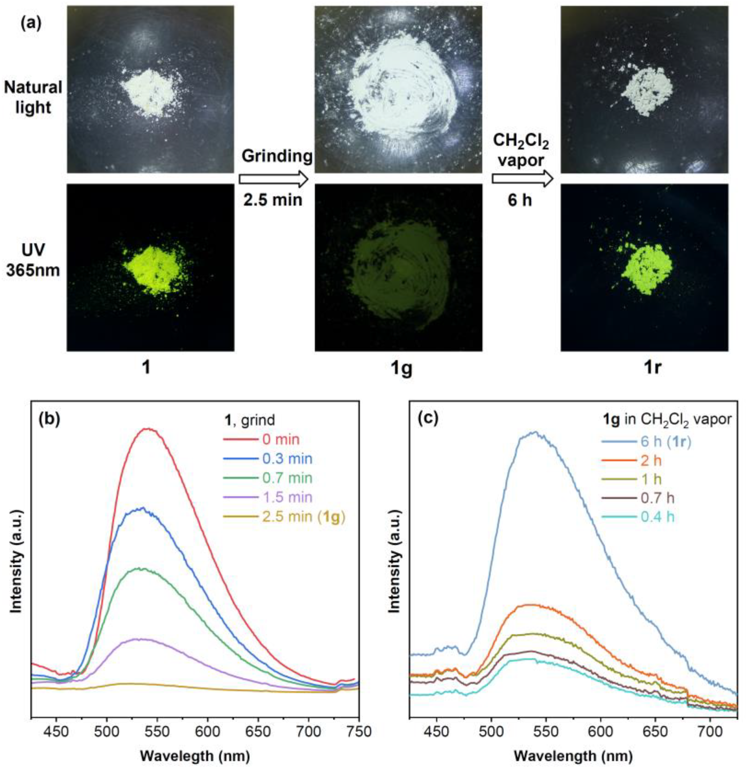 Molecules 29 05736 g004