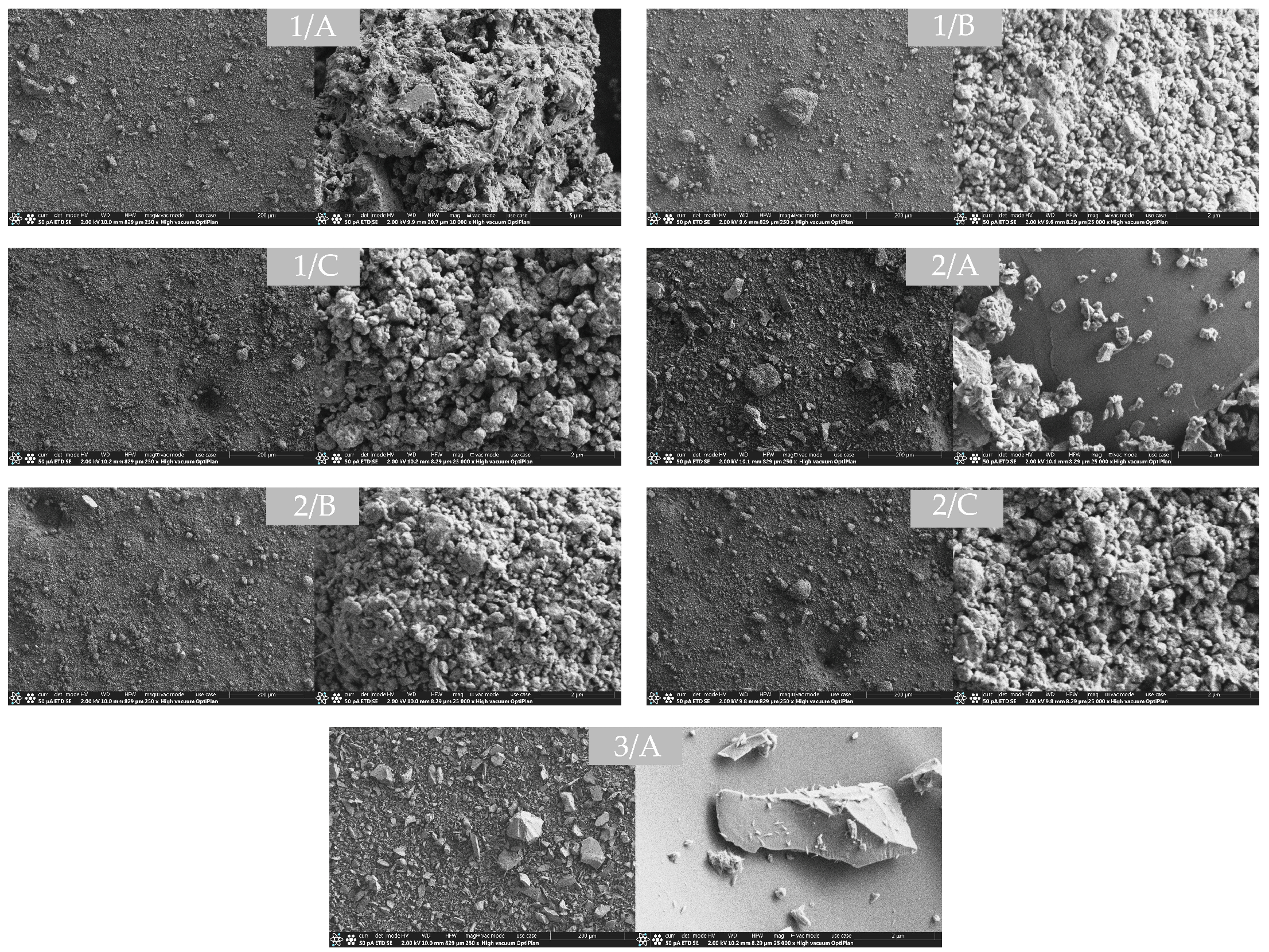 Molecules 29 05740 g005