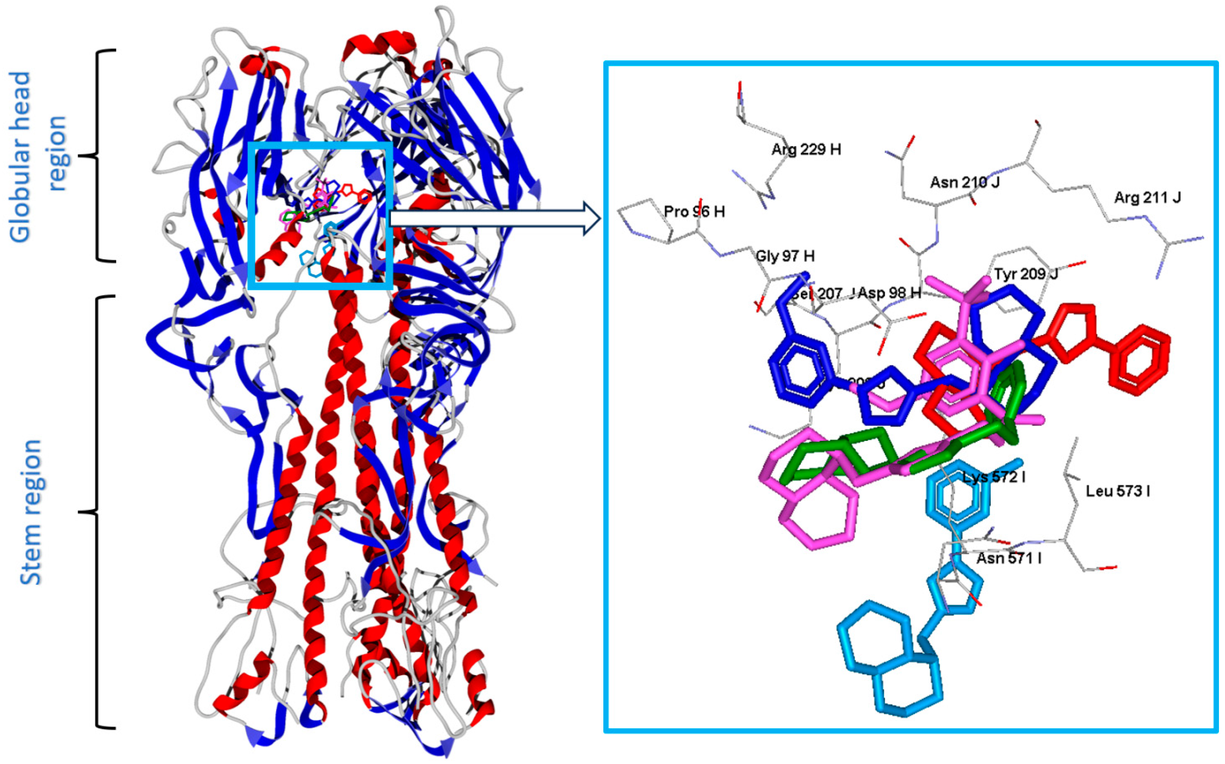 Molecules 29 05742 g004
