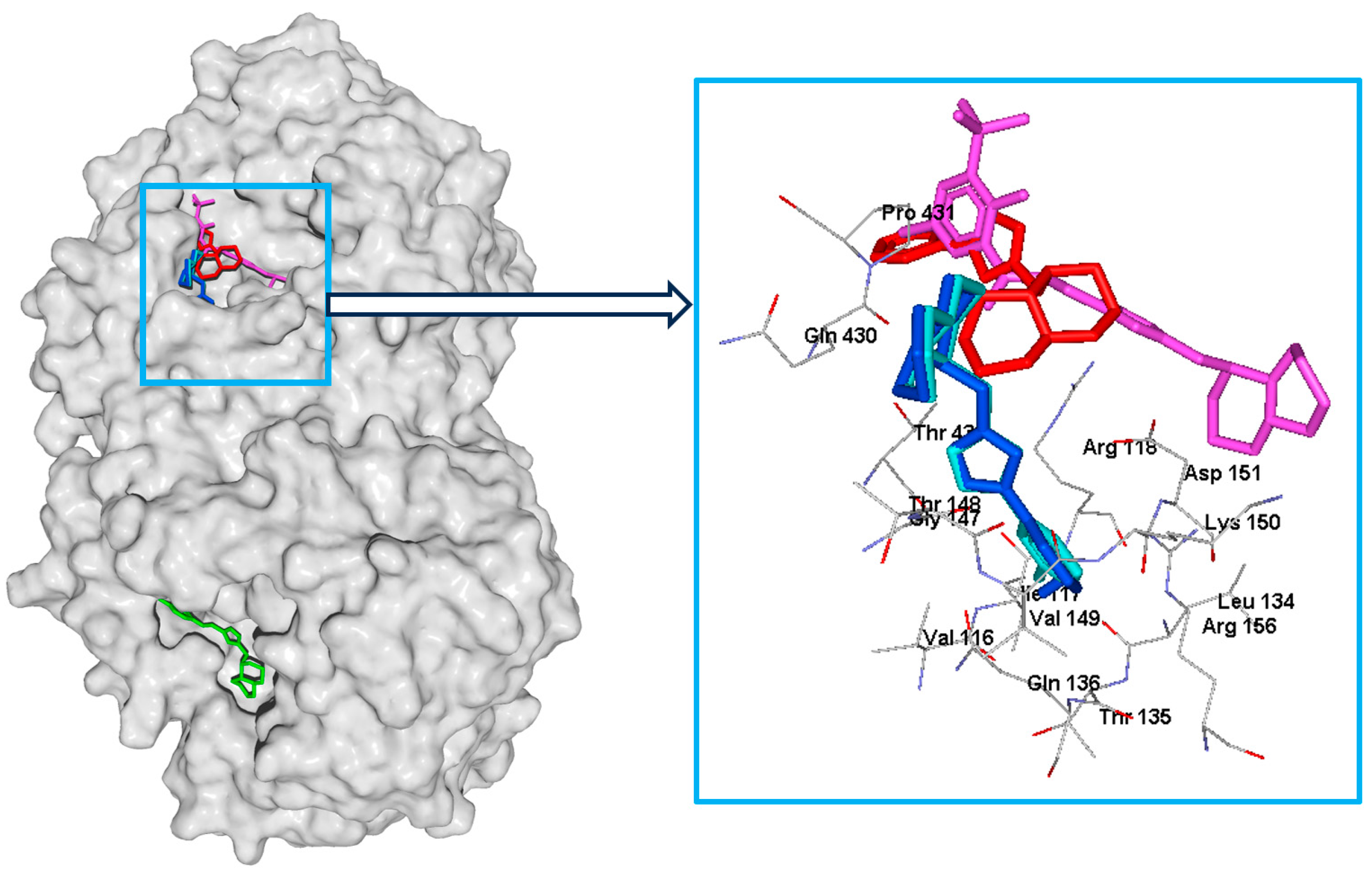 Molecules 29 05742 g006