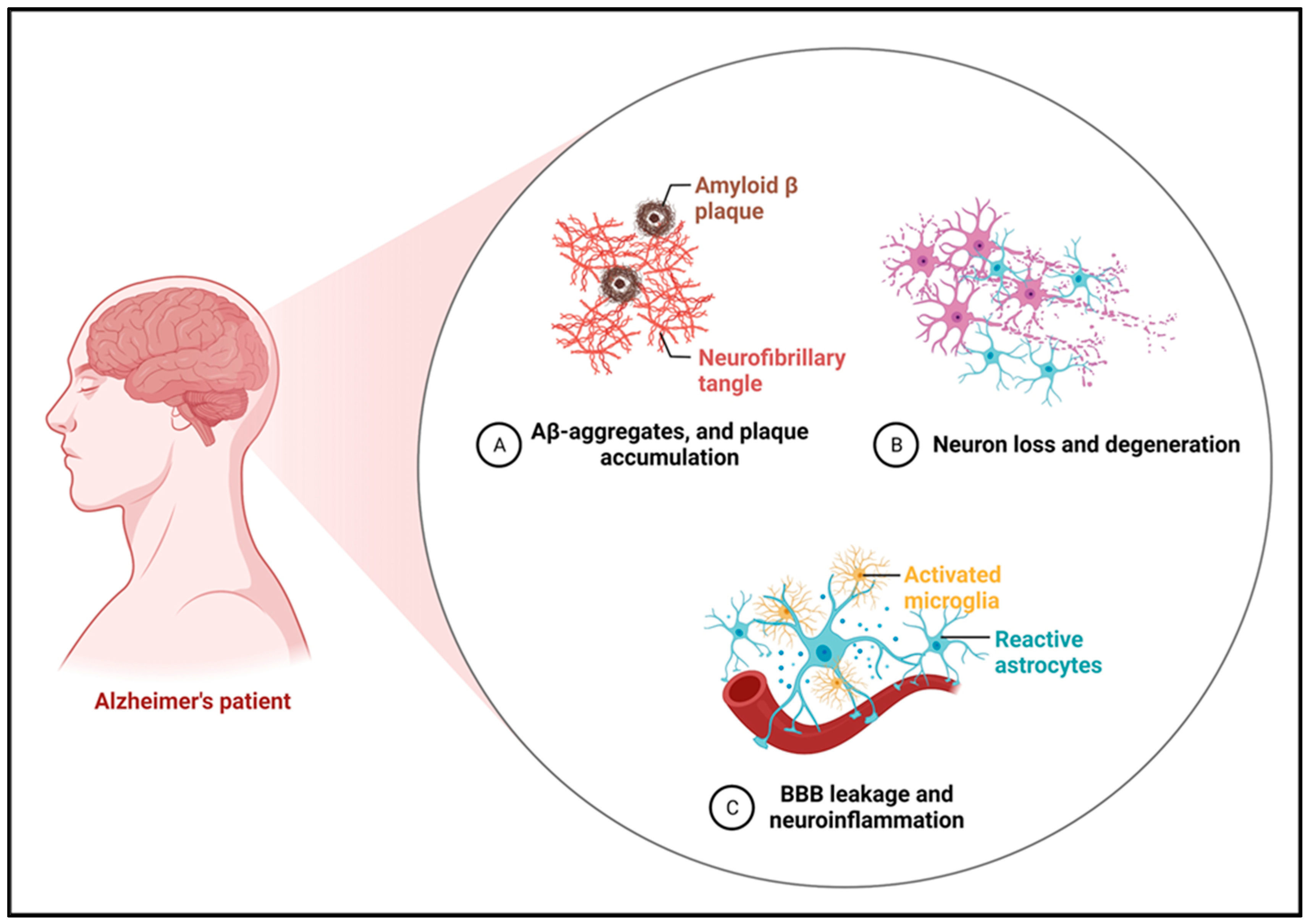 Molecules 29 05744 g001