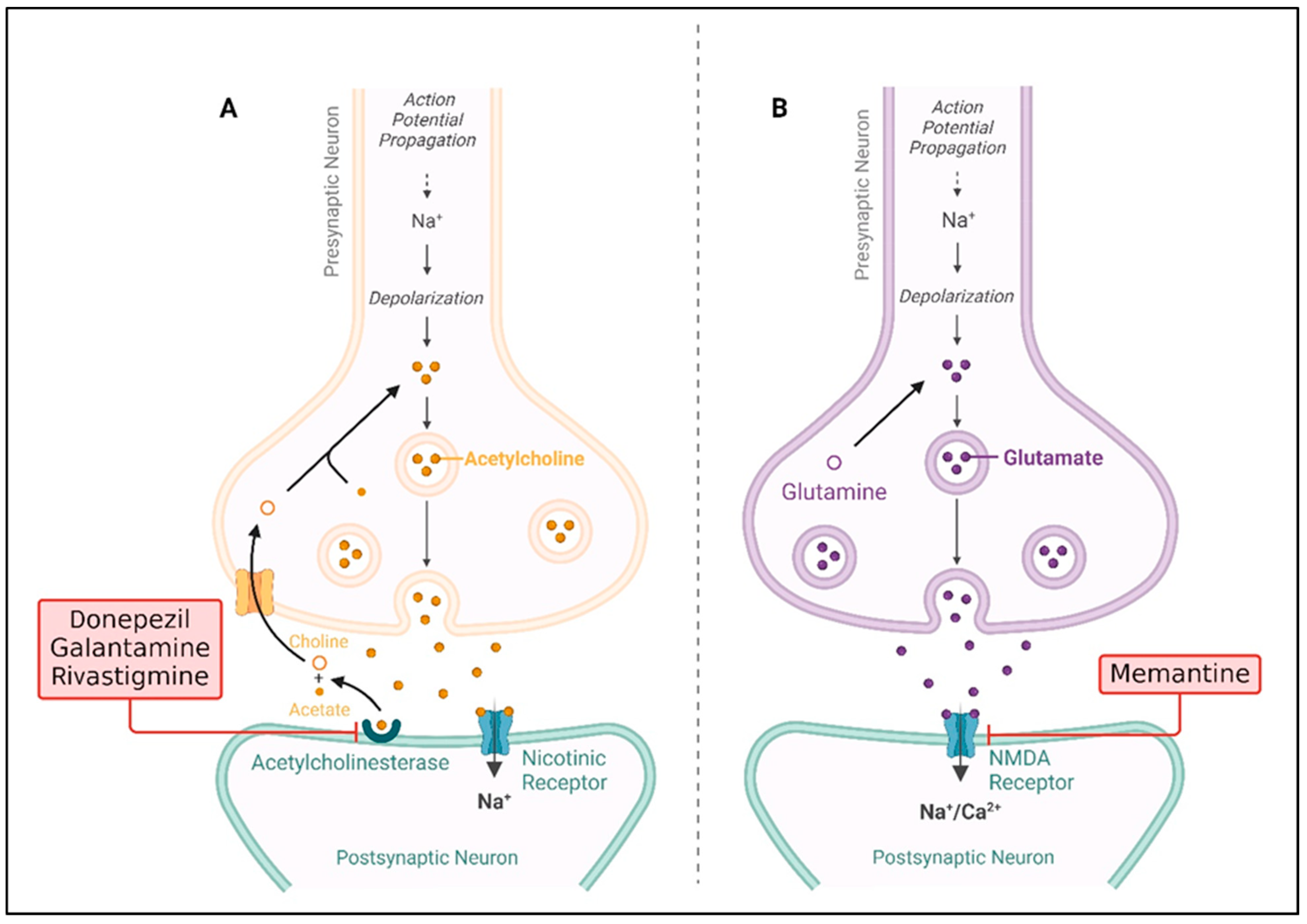Molecules 29 05744 g003