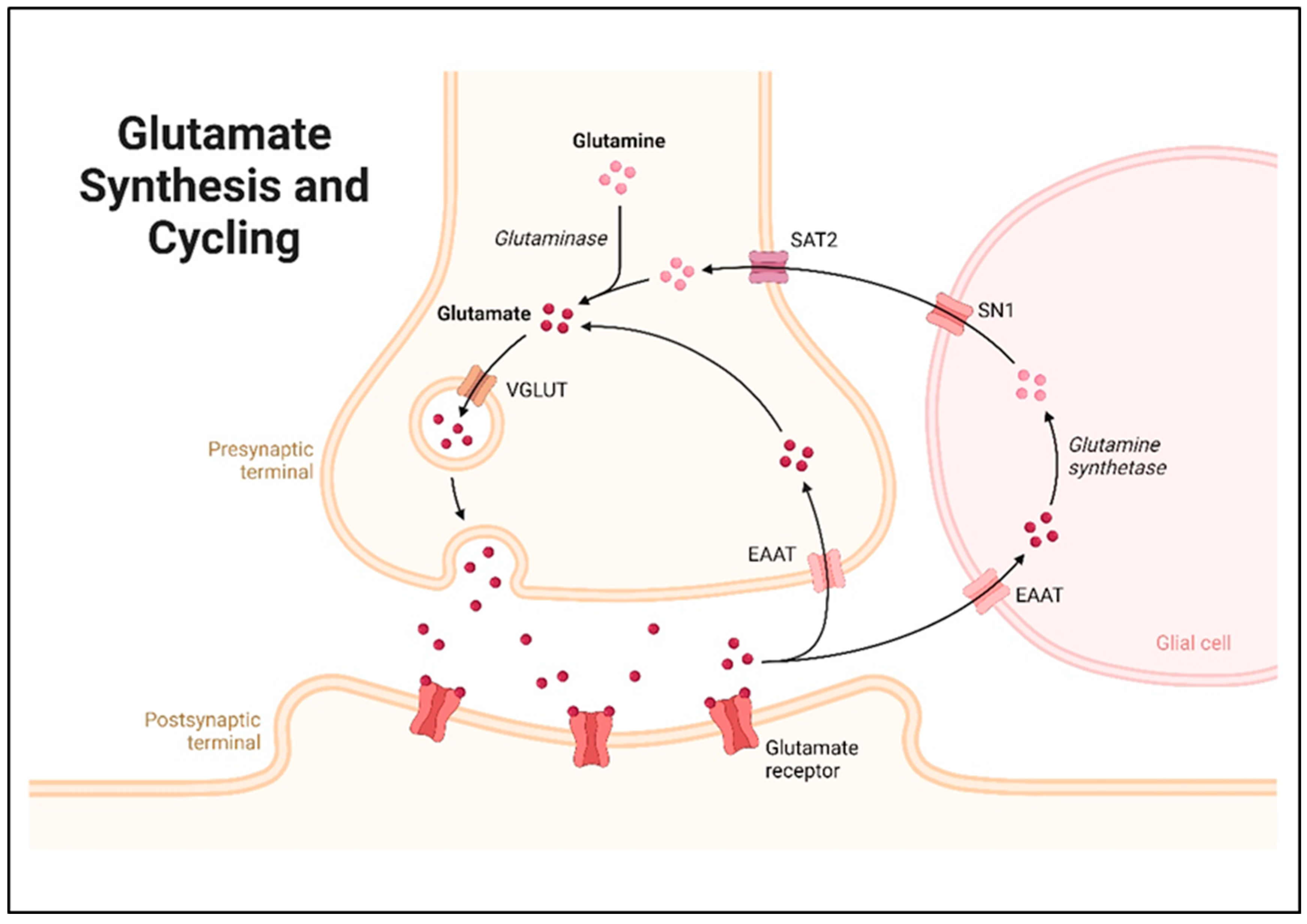 Molecules 29 05744 g004