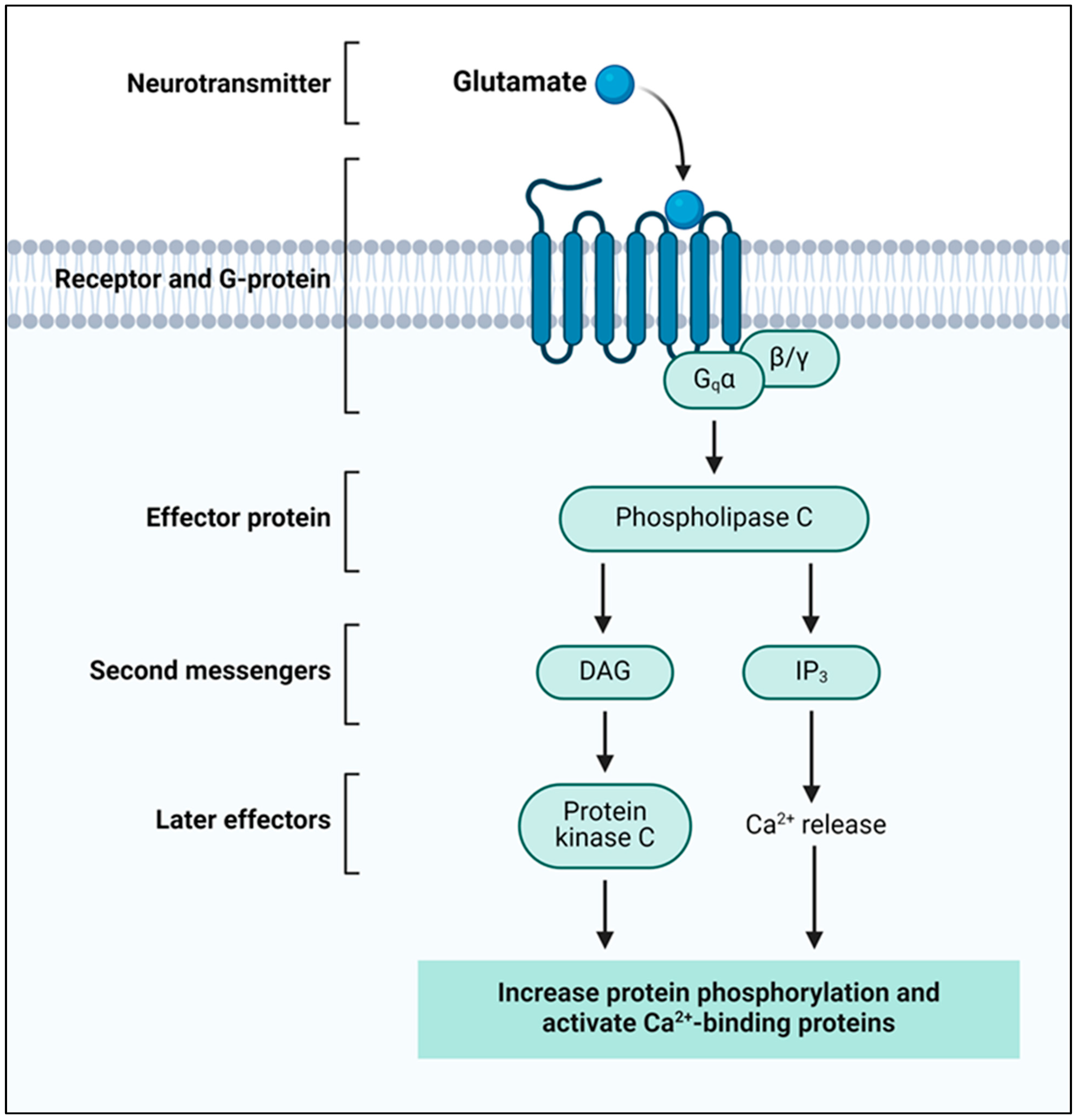 Molecules 29 05744 g005