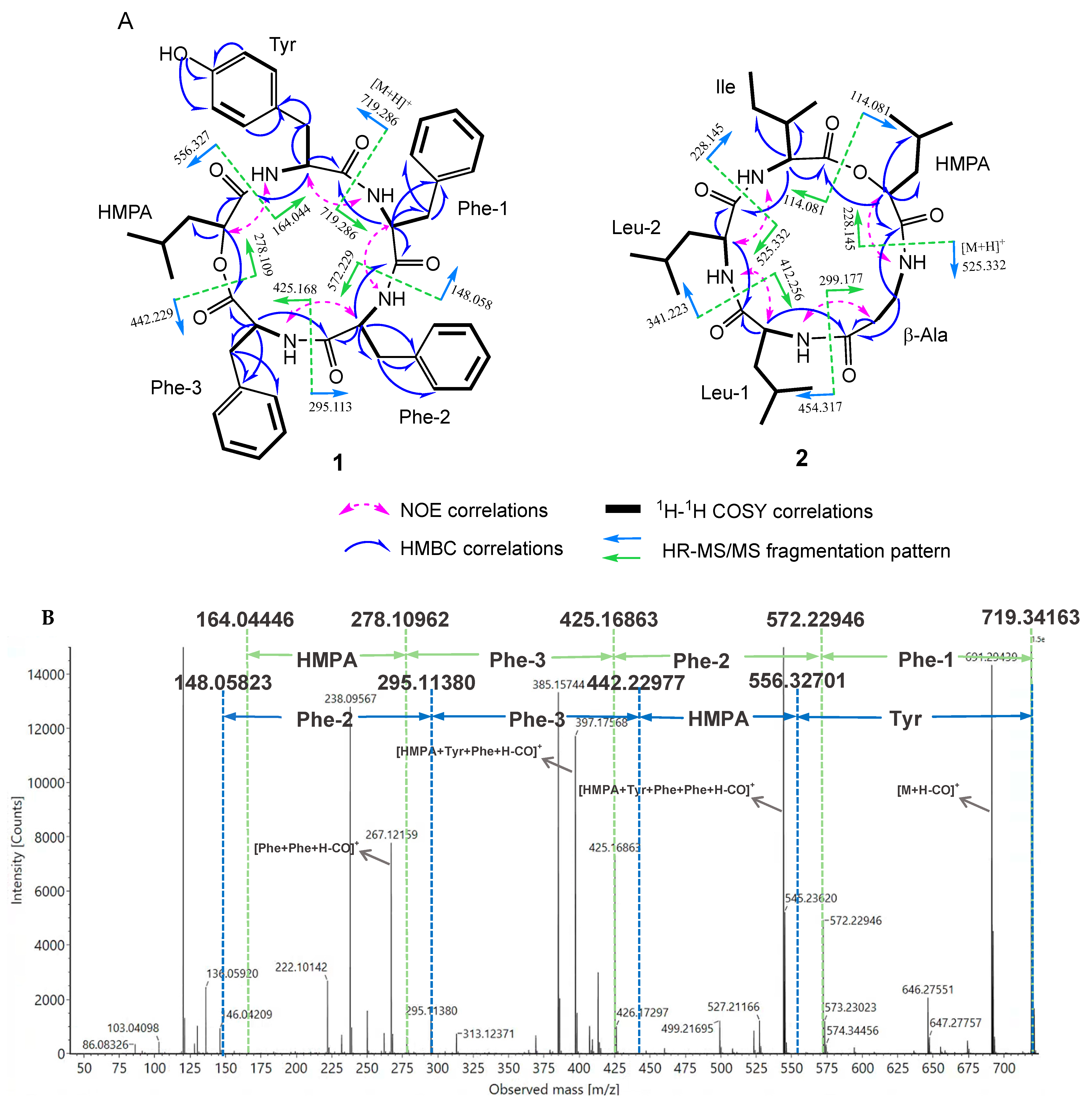 Molecules 29 05746 g003a