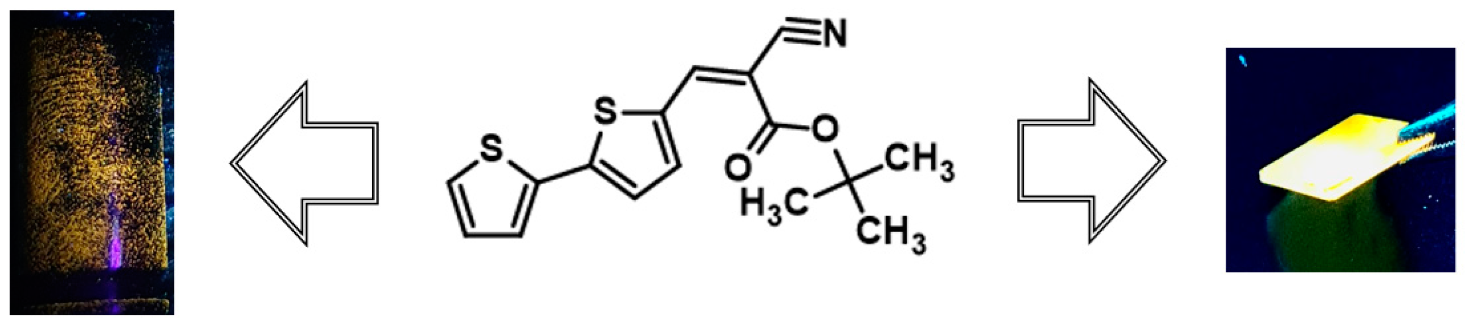 Molecules 29 05747 g008