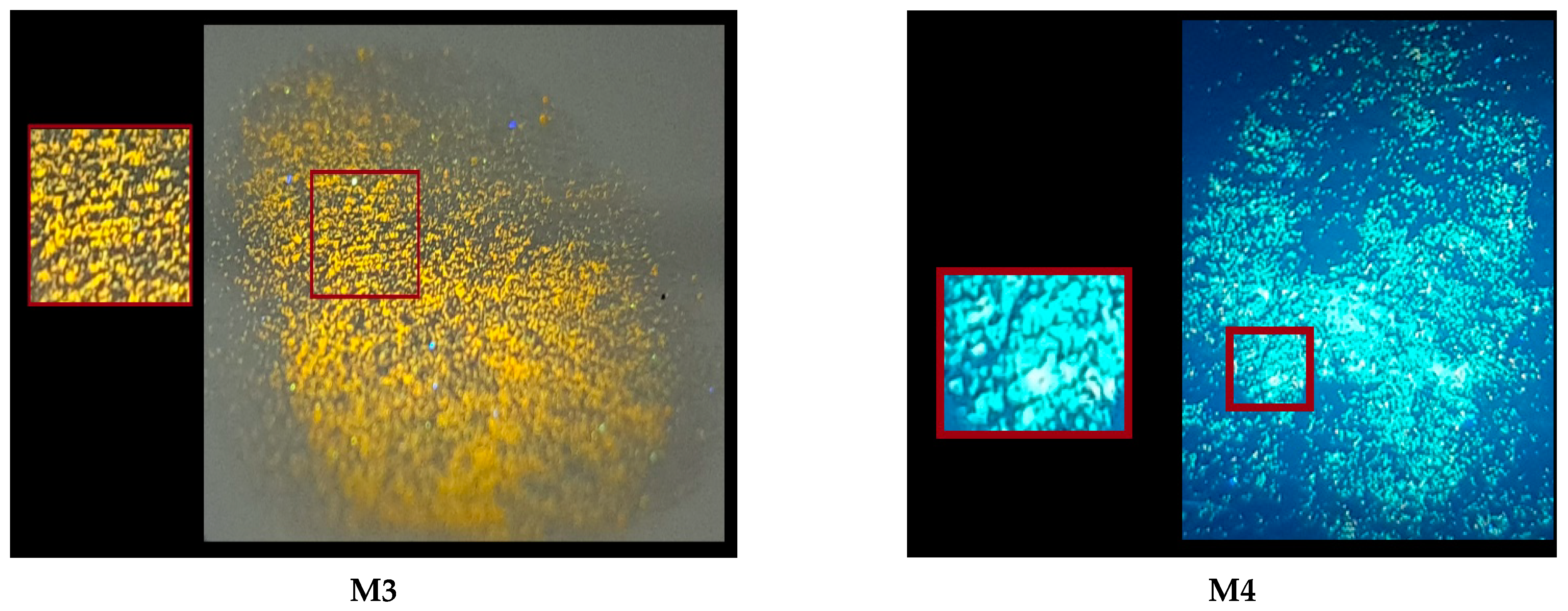 Molecules 29 05747 g009