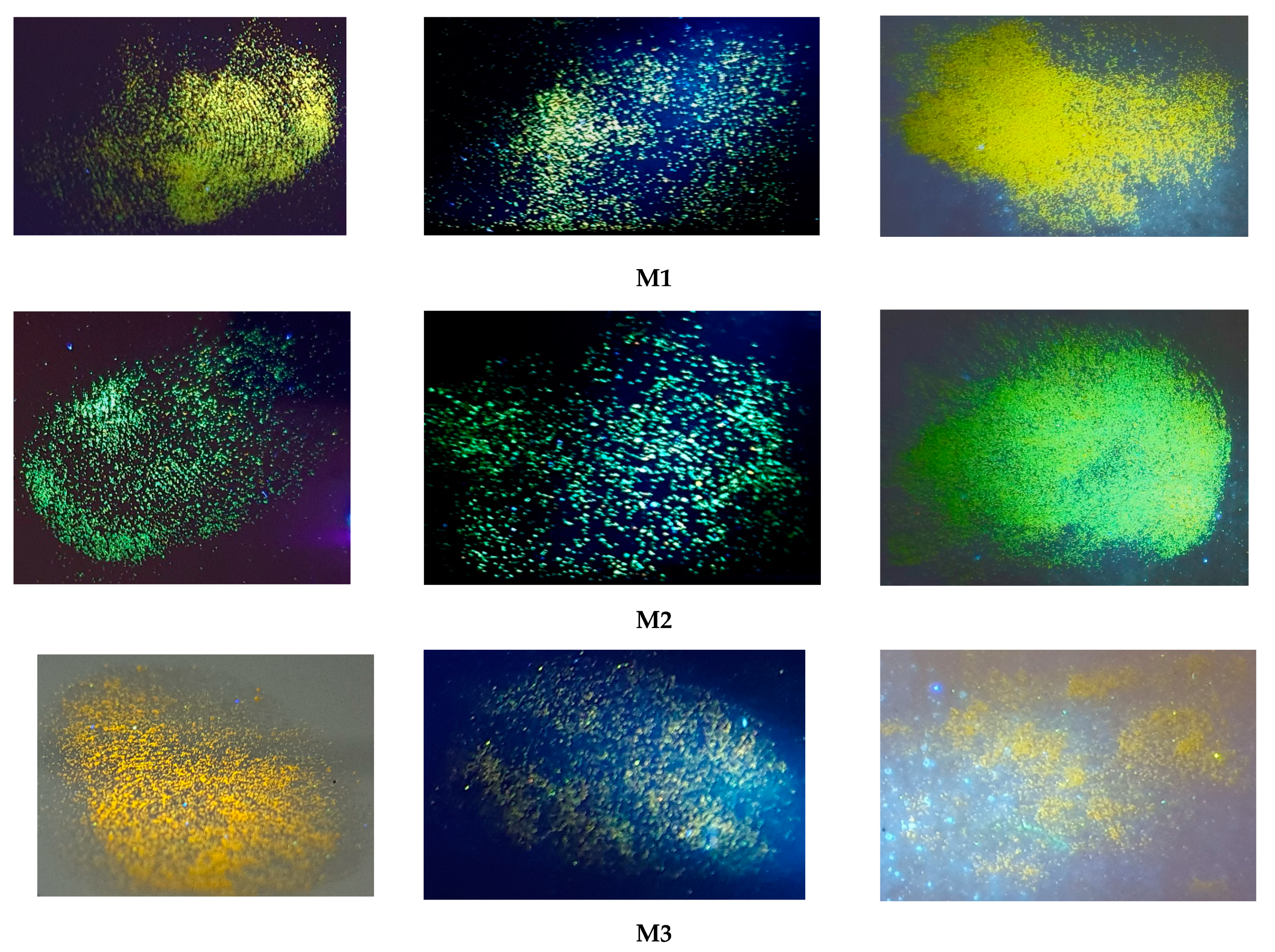 Molecules 29 05747 g010a