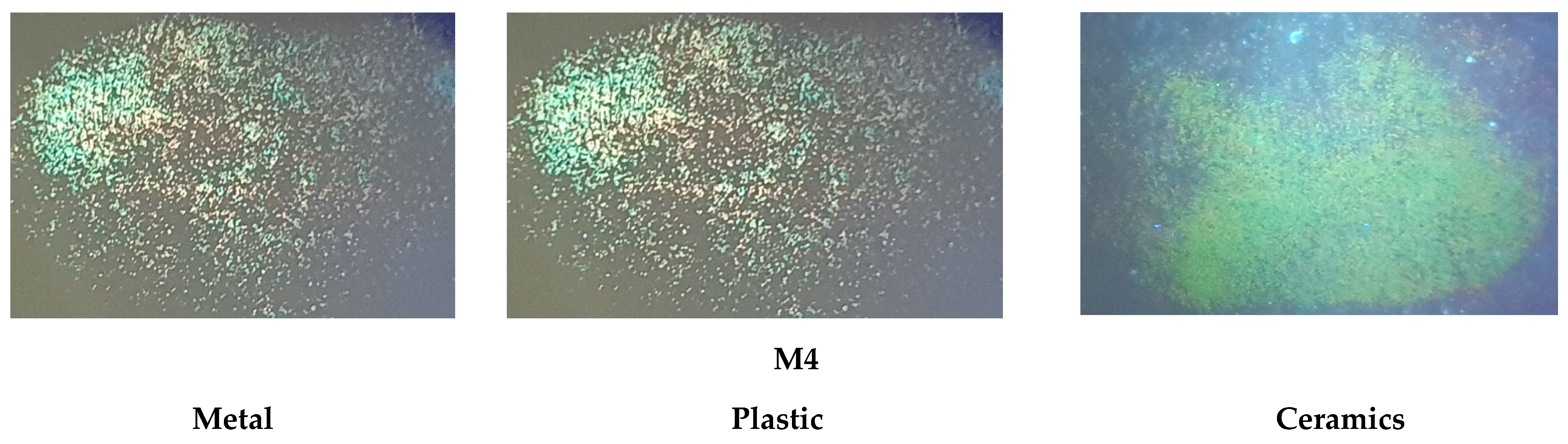 Molecules 29 05747 g010b