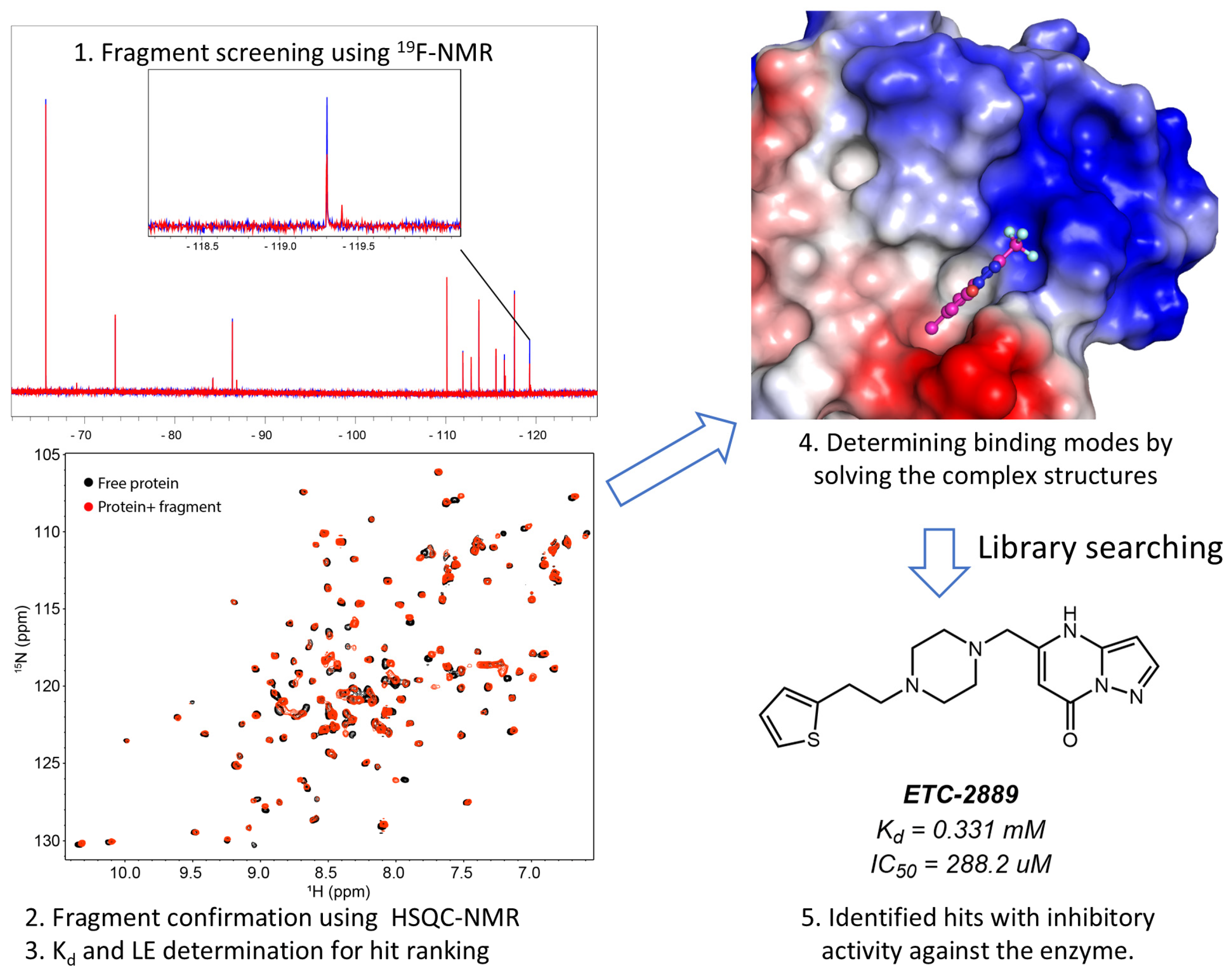 Molecules 29 05748 g002 Molecules 29 05748 g002