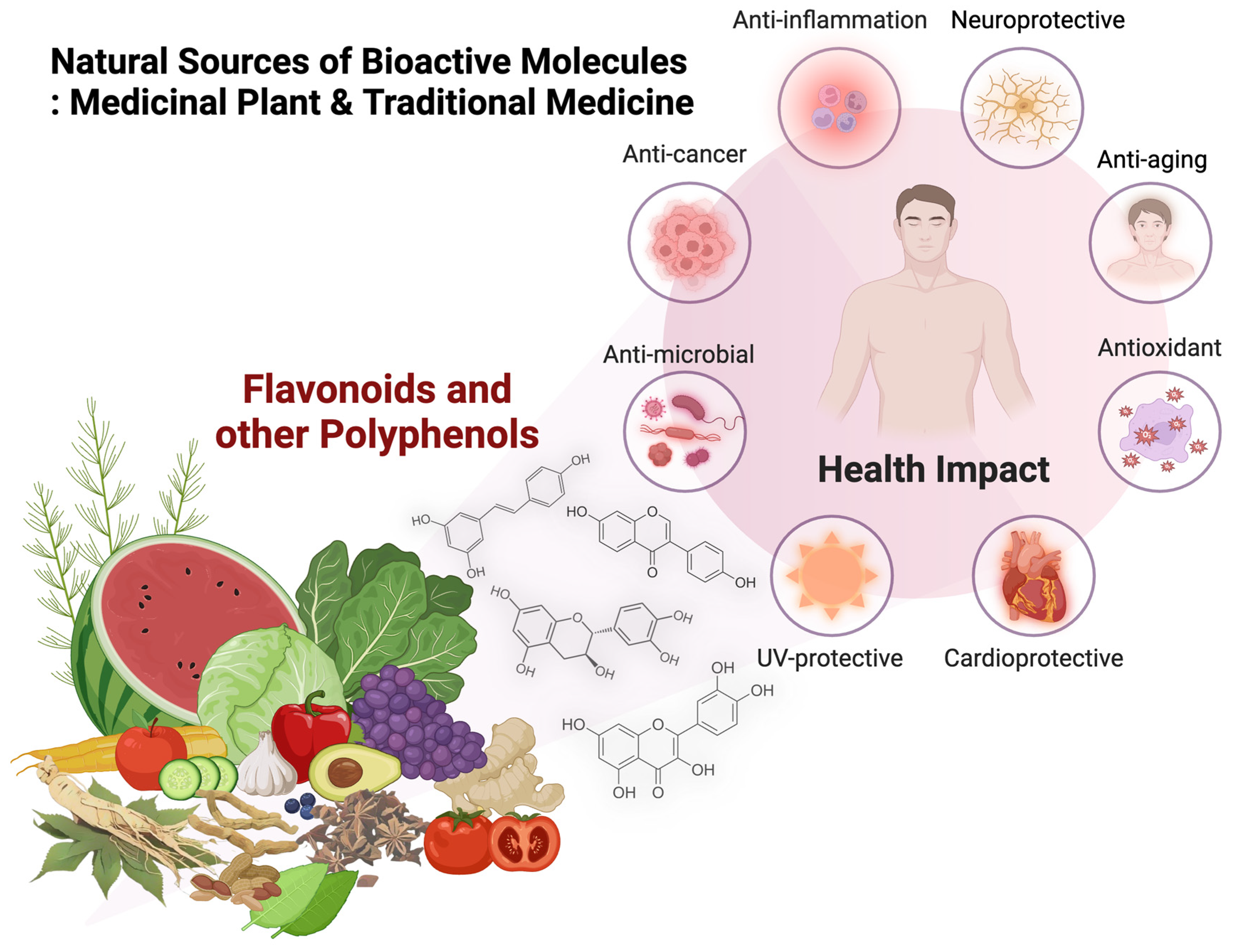 Molecules 29 05760 g003
