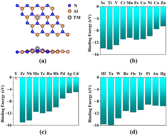 Rational Design of Novel Single-Atom Catalysts of Transition