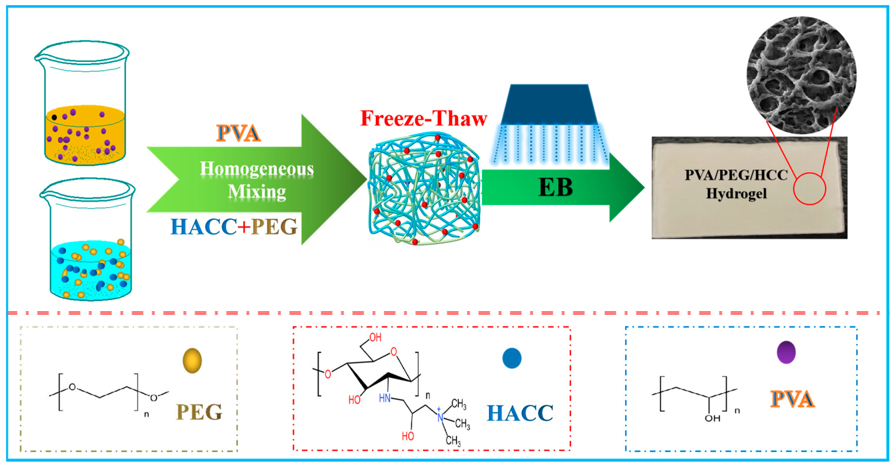 Molecules 29 05770 g001