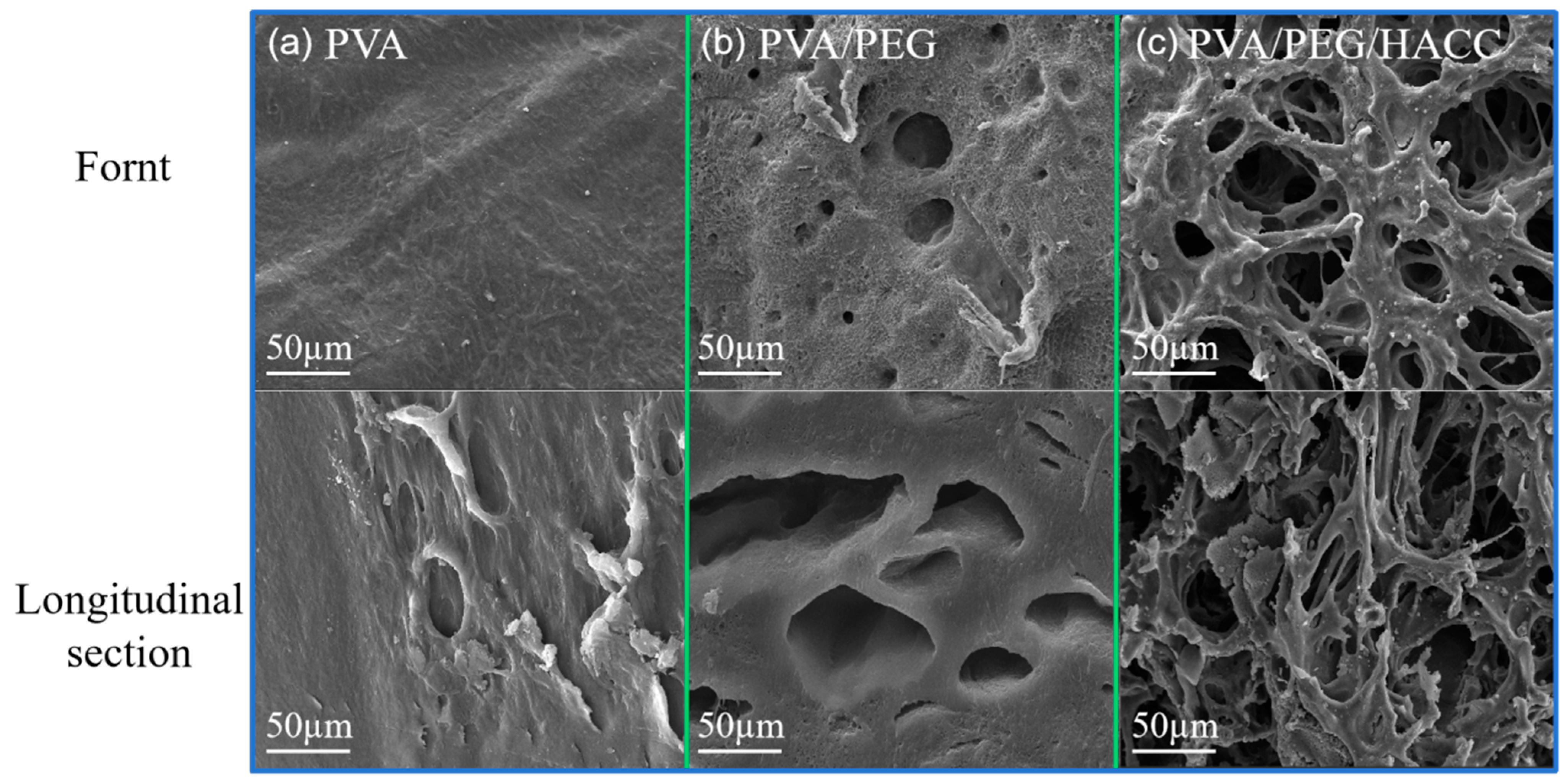 Molecules 29 05770 g005