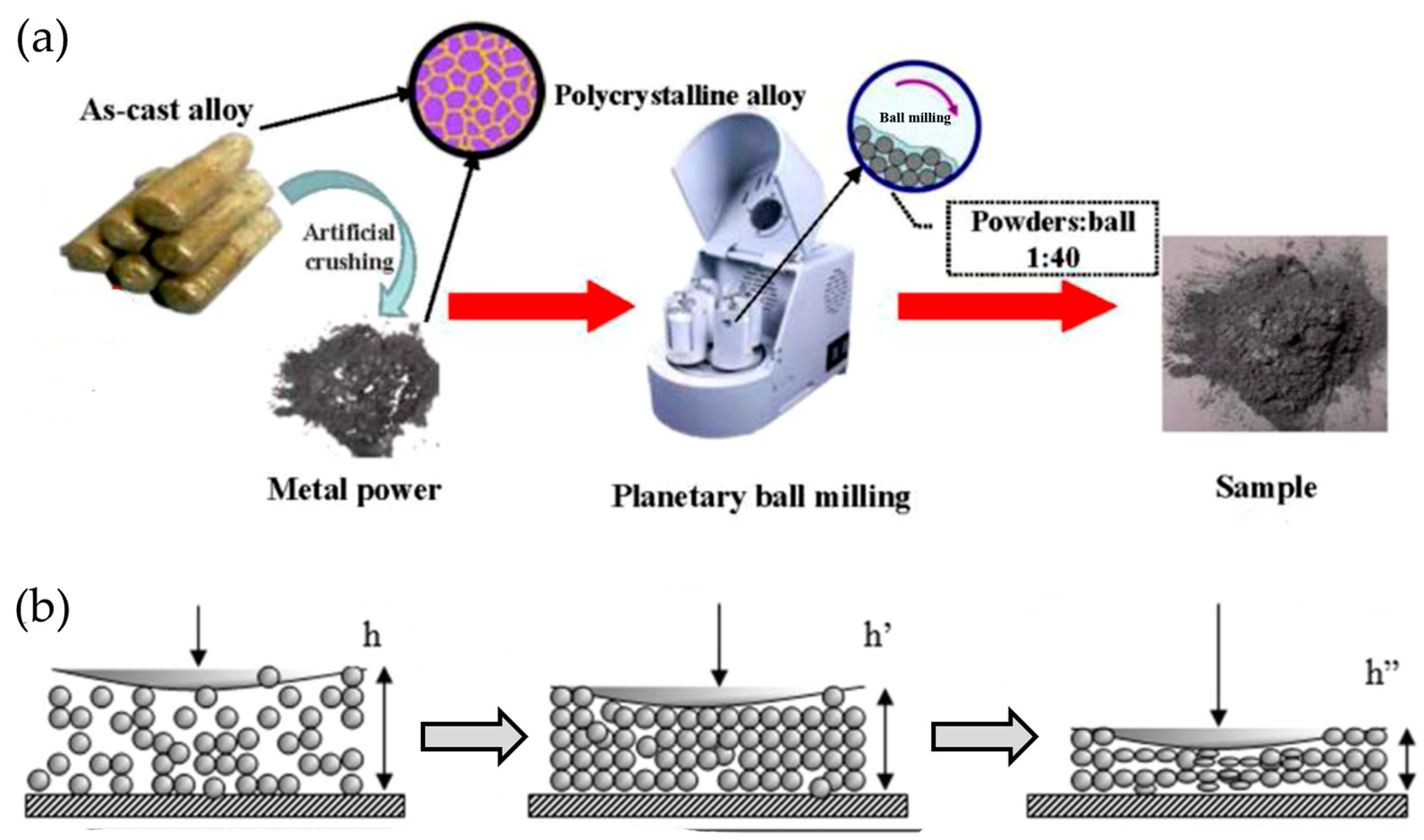 Molecules 29 05774 g005