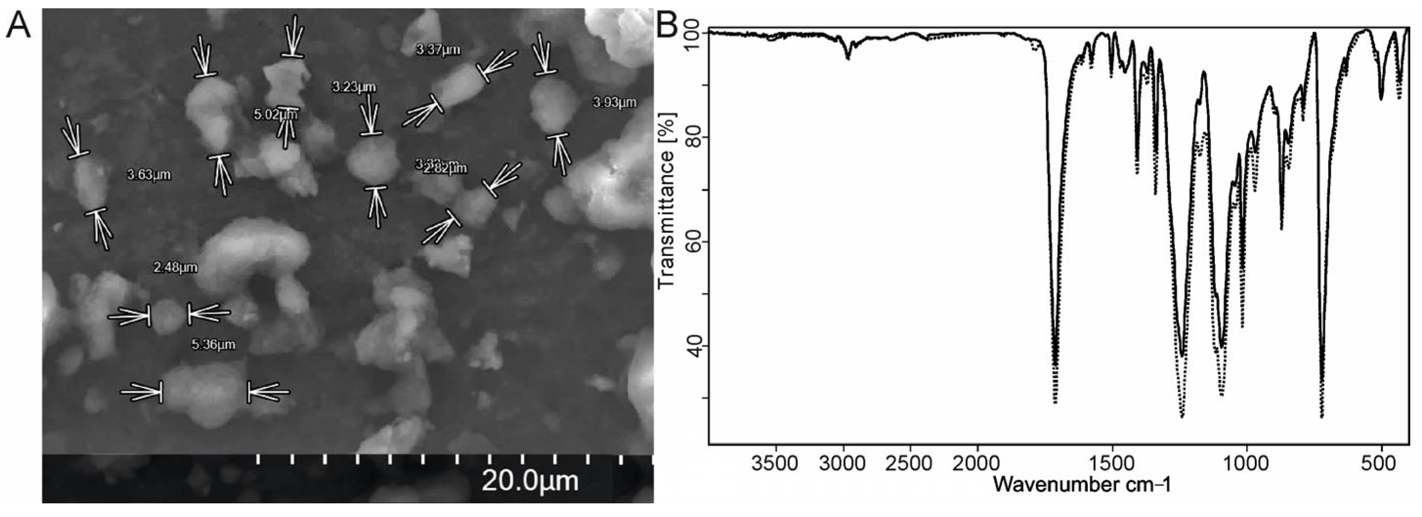 Molecules 29 05776 g001