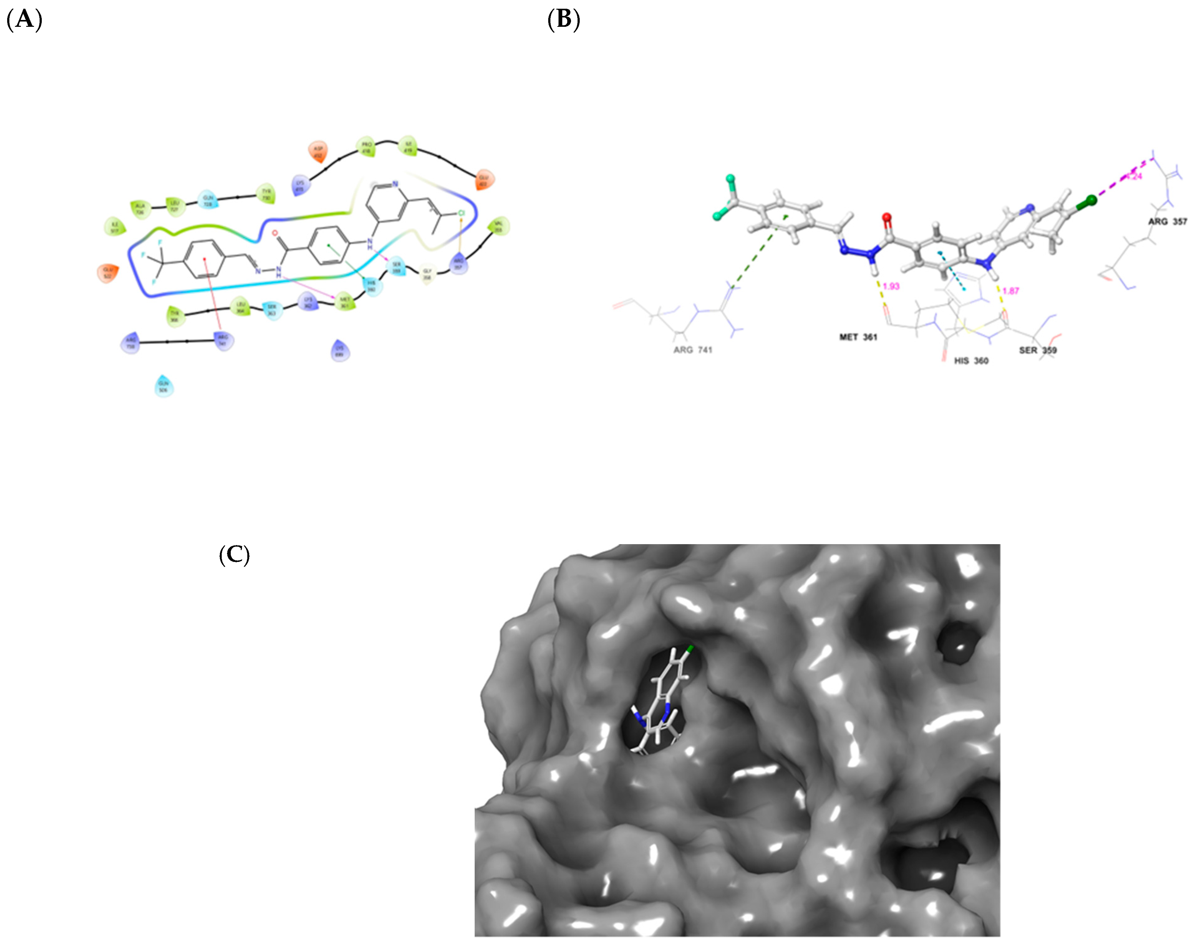 Molecules 29 05777 g003
