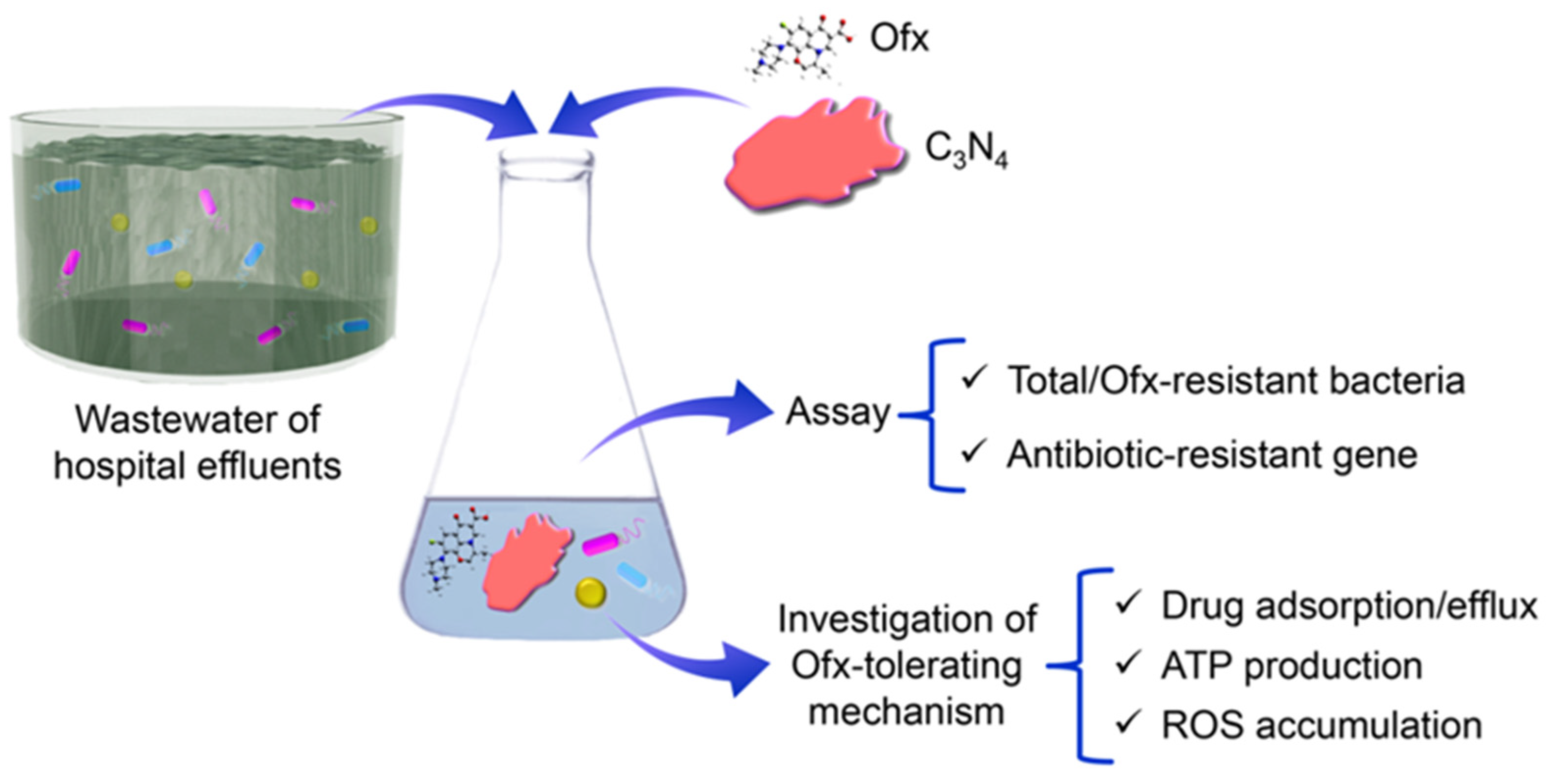 Molecules 29 05780 g001