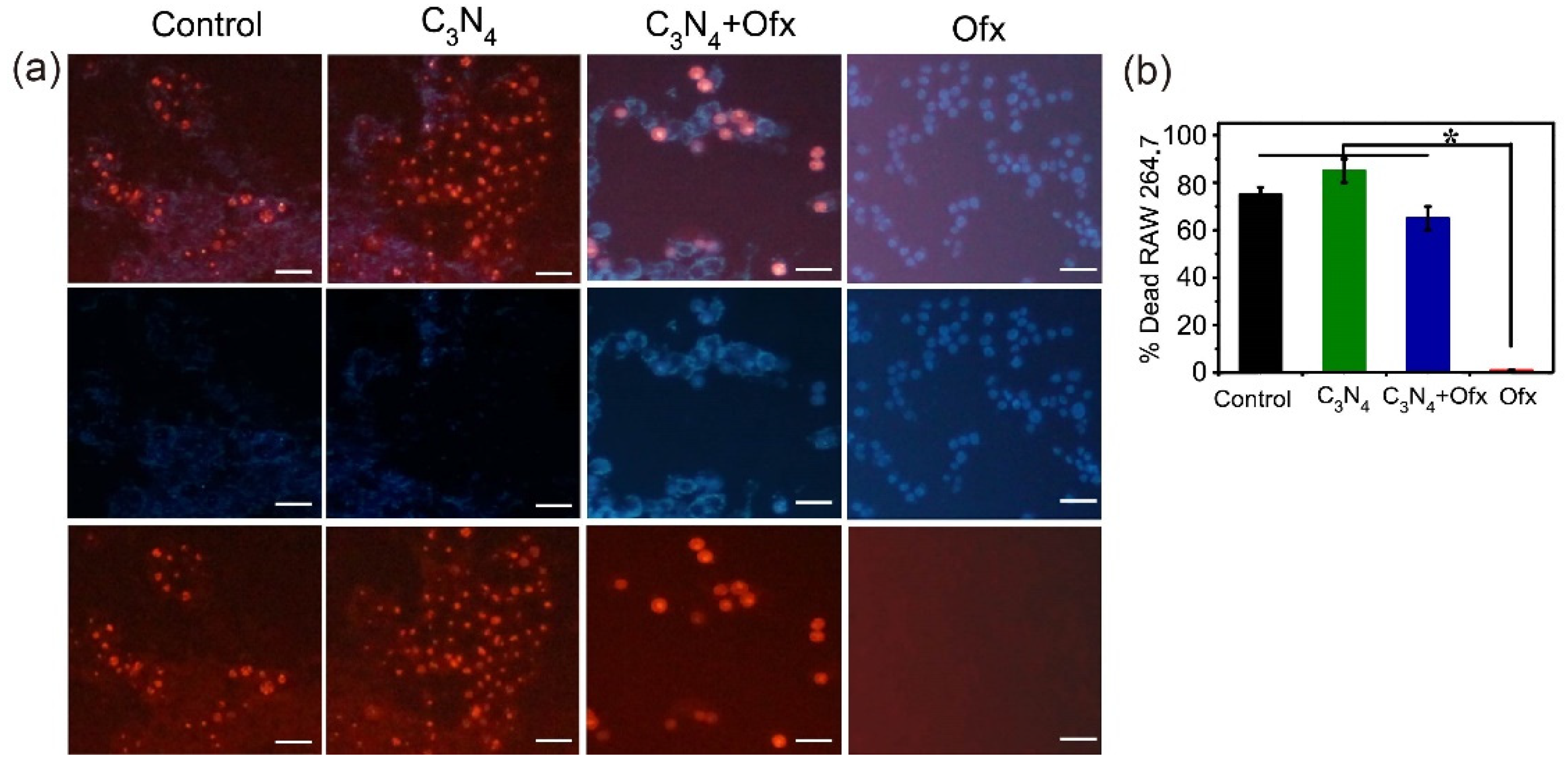 Molecules 29 05780 g006