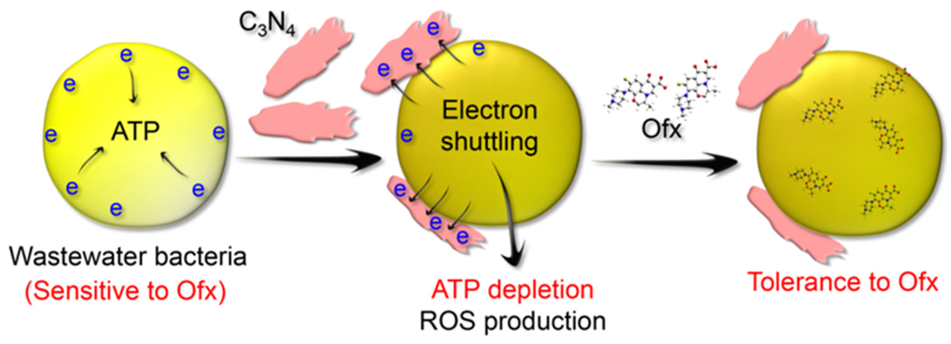 Molecules 29 05780 g010