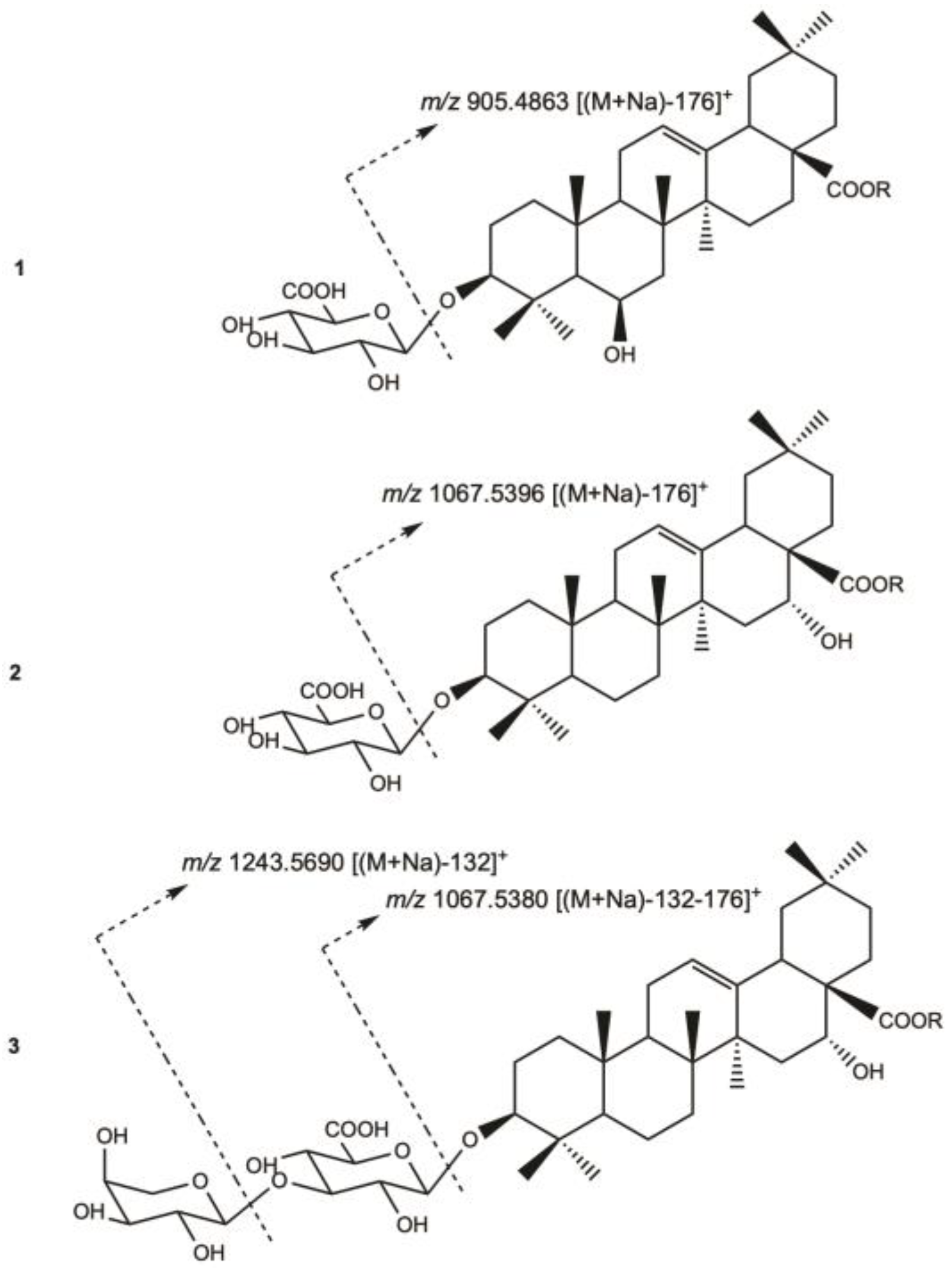 Molecules 29 05781 g002